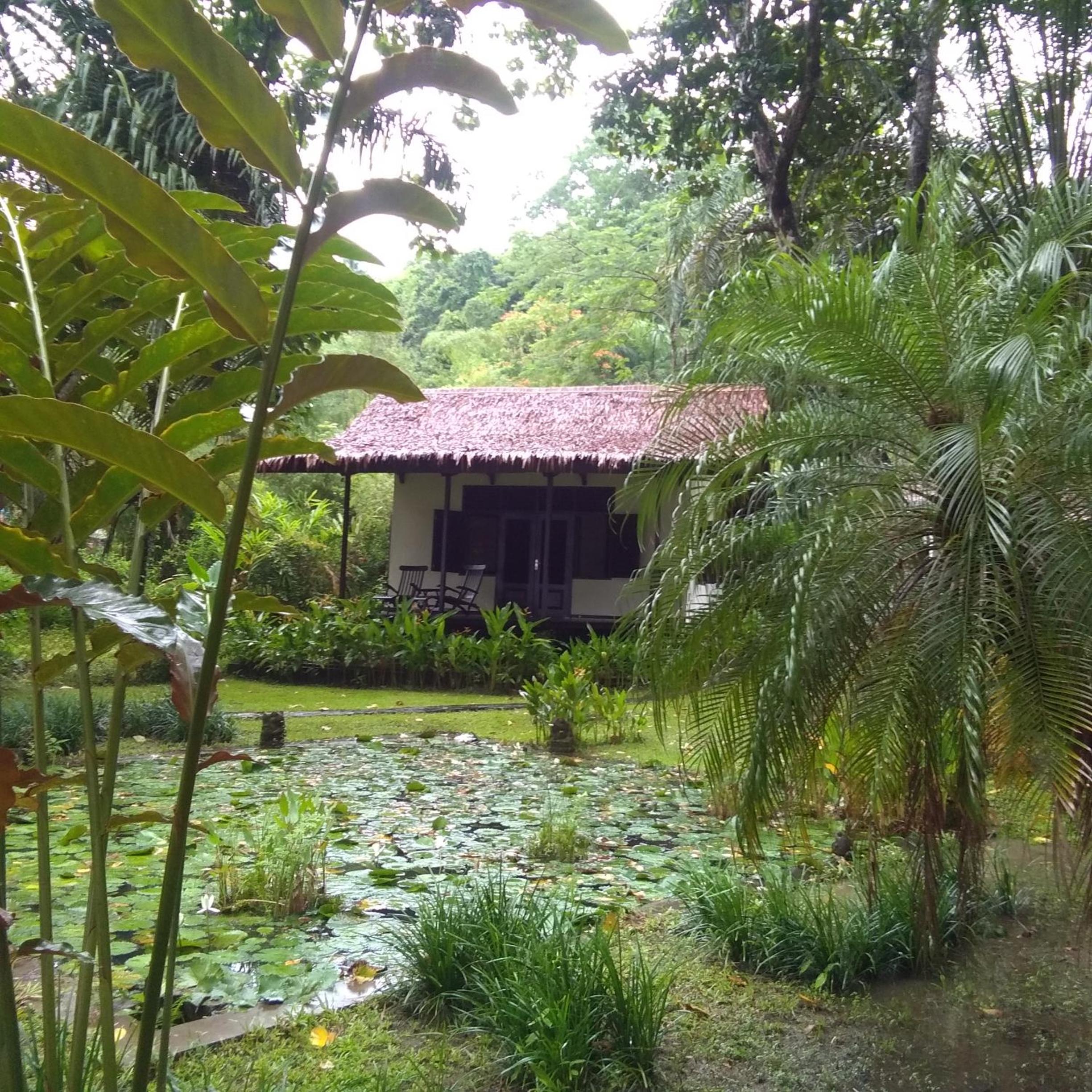 Villa - Beach Front - Photo 5