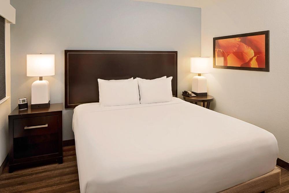 One-Bedroom King Suite - Photo 1