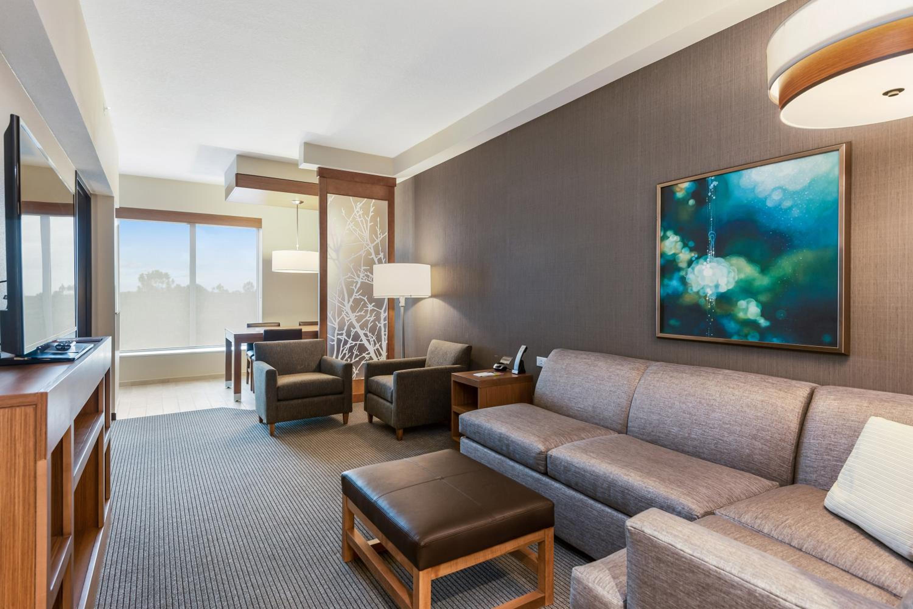 One-Bedroom King Suite with Sofa Bed