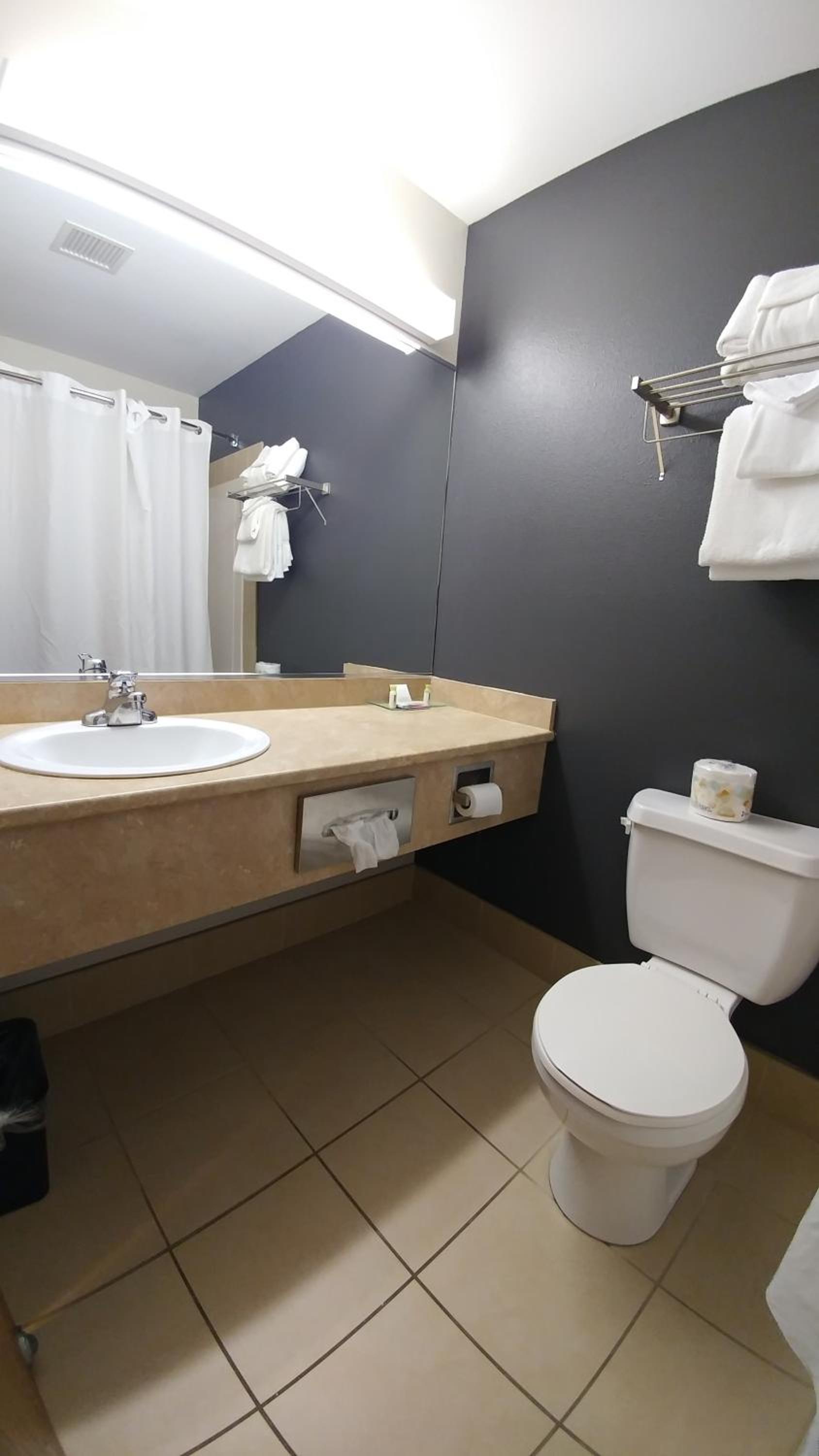 One King Bedroom - Non Smoking - Photo 2