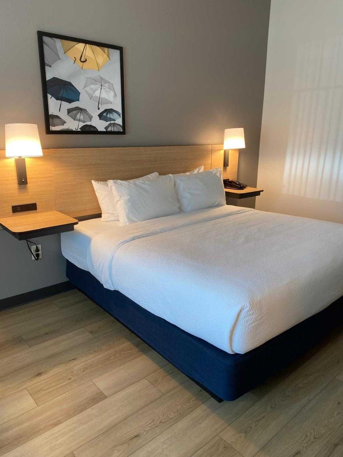 King Room with Sofa Bed and Roll-in Shower - Mobility and Hearing Accessible