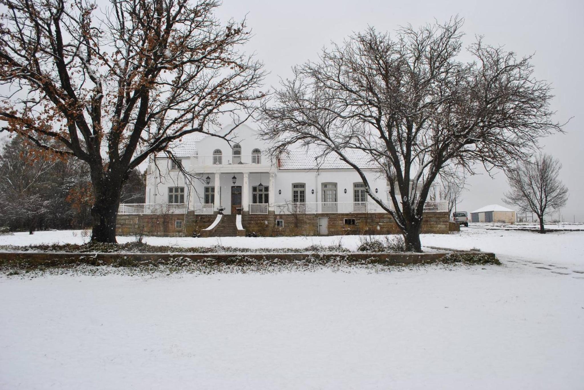 Superior Villa photo 2