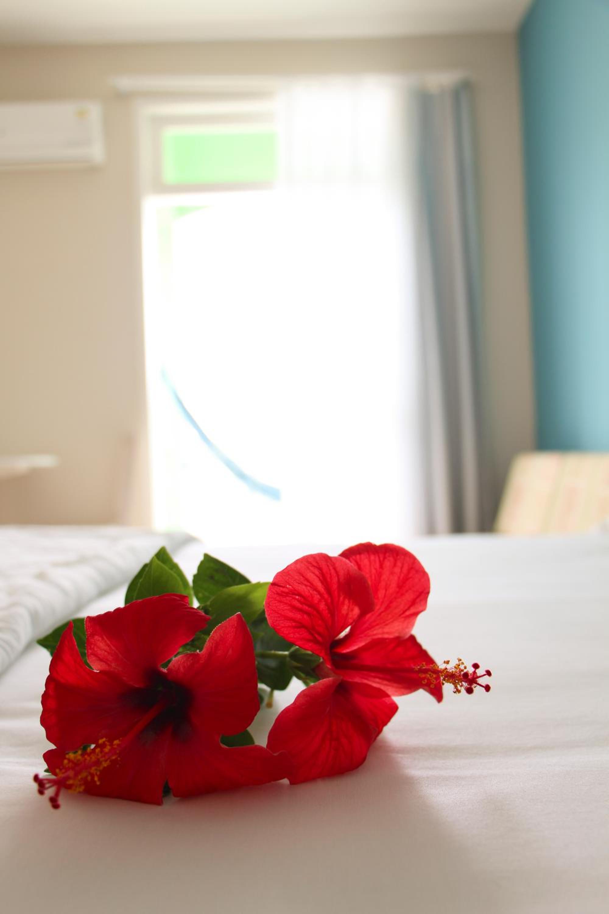 Standard Room with Balcony and Partial Sea view photo 2