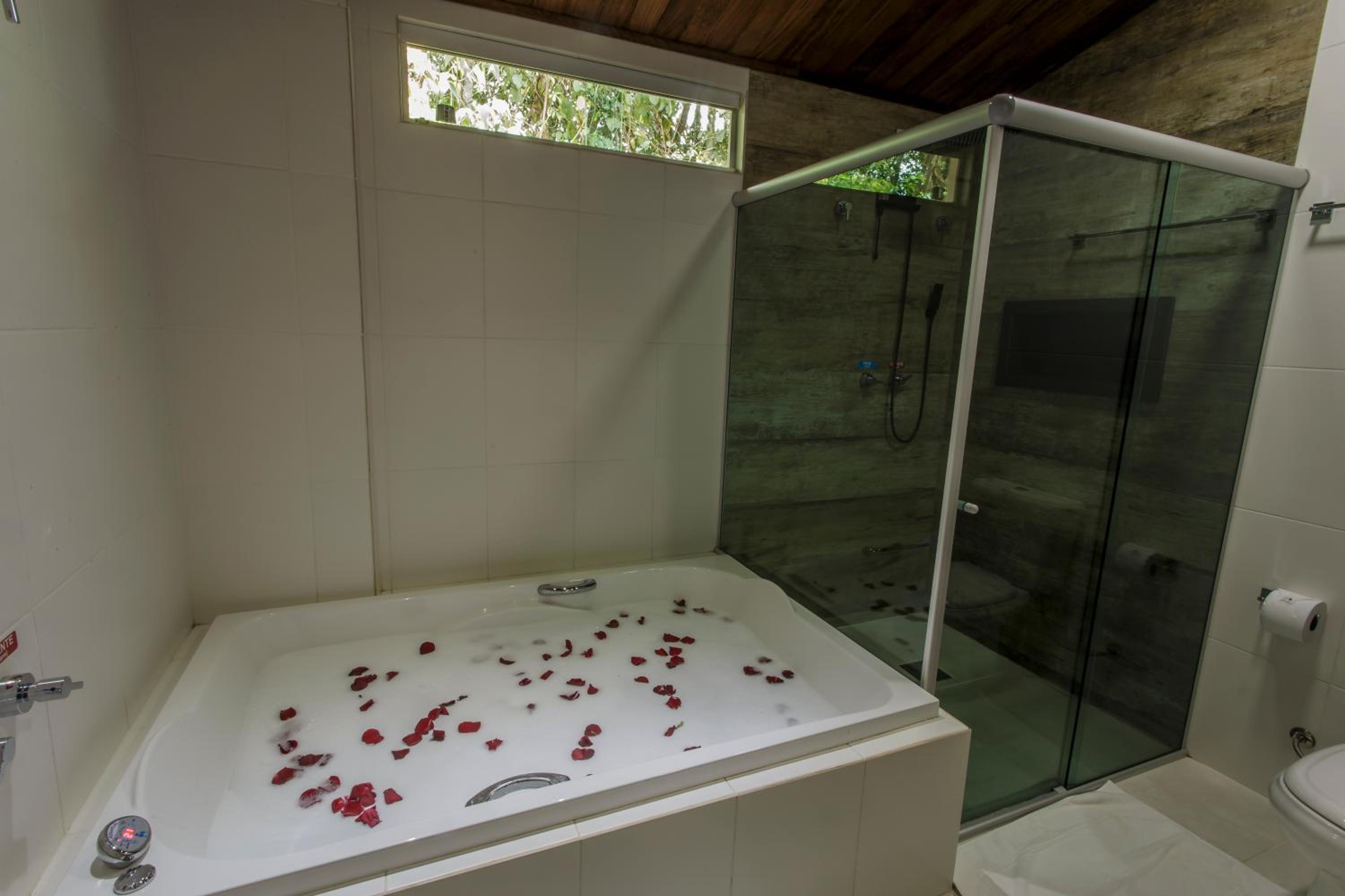 Suite with Hot Tub photo 3