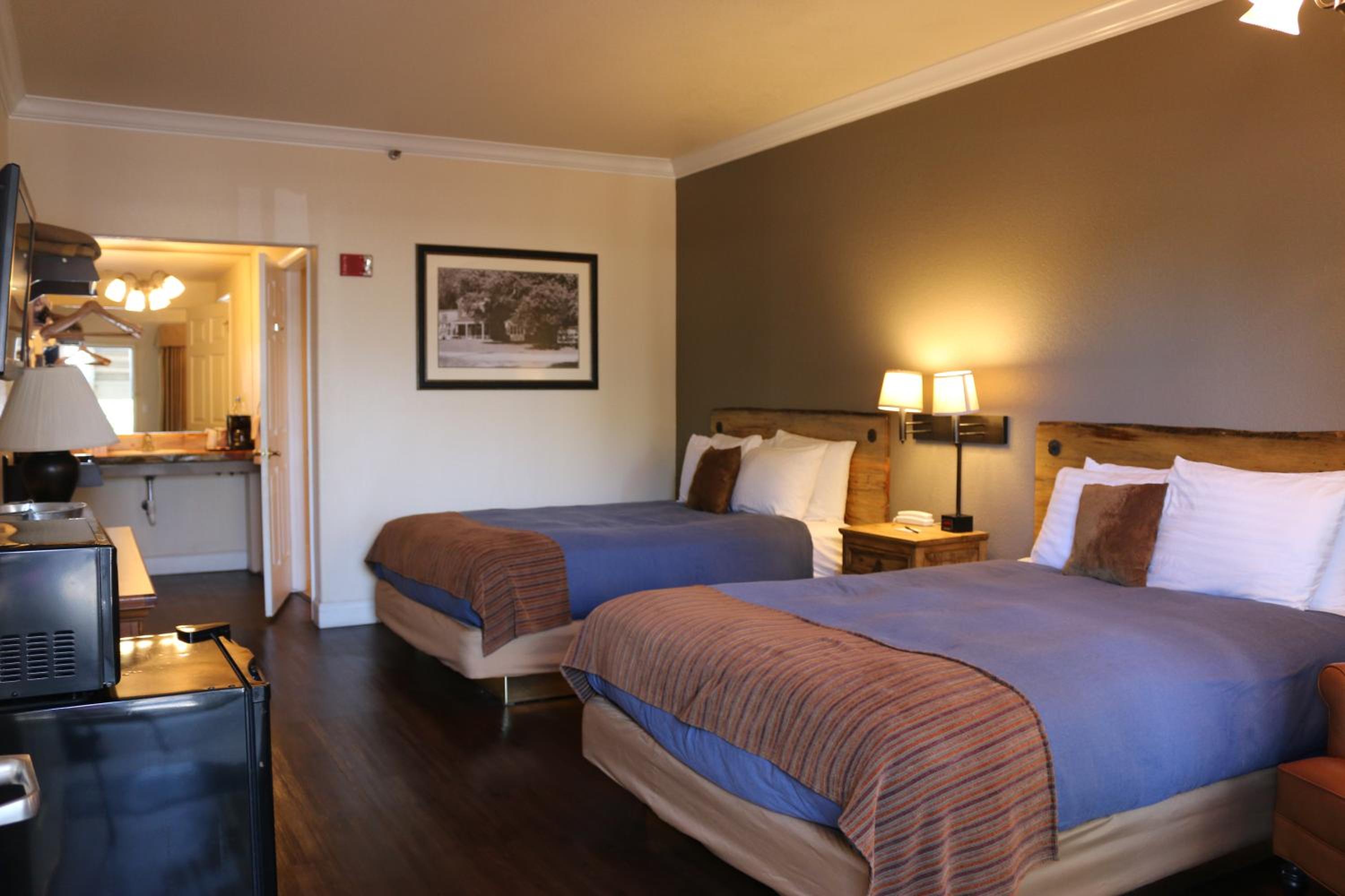 Queen Room - Disability Access - Pet Friendly photo 1