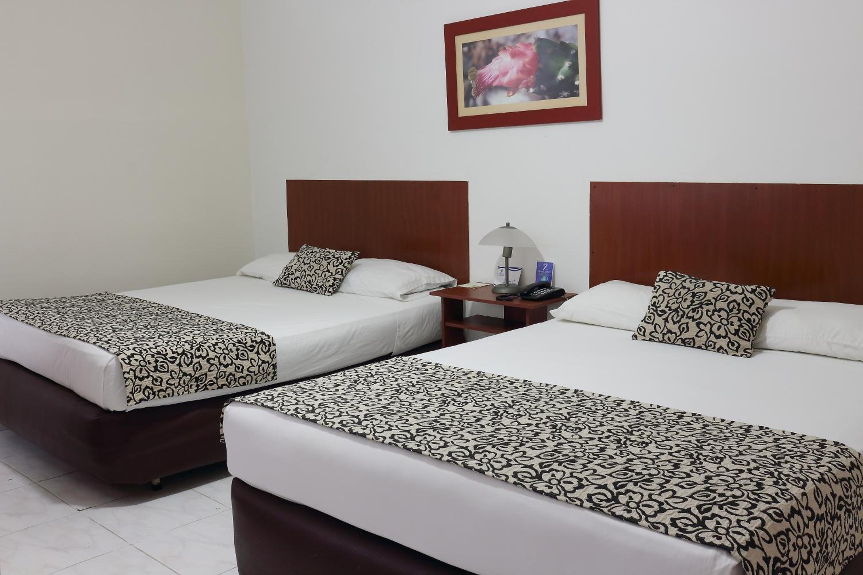 Twin Room photo 2