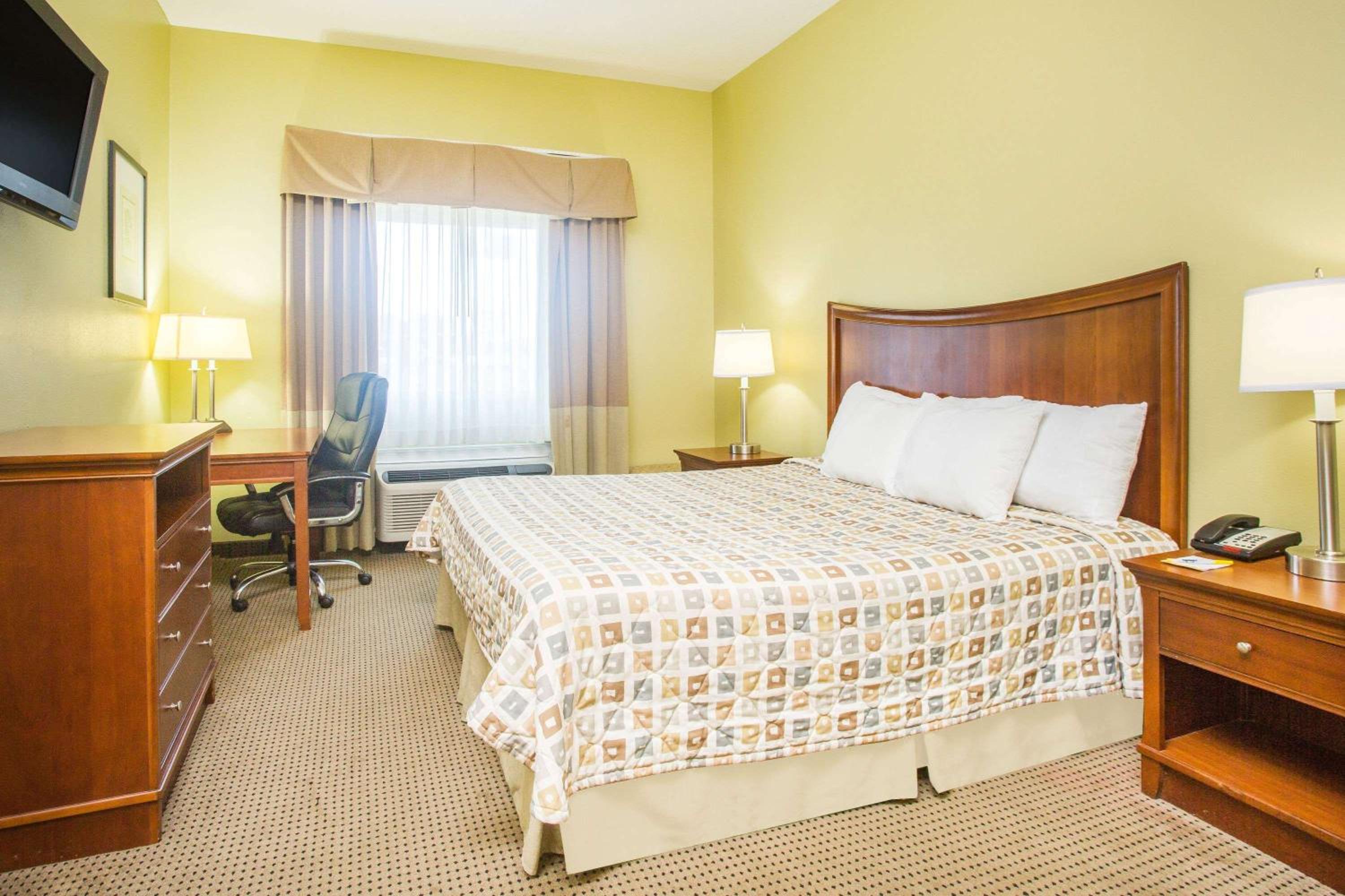 King Room - Non-Smoking - Photo 3