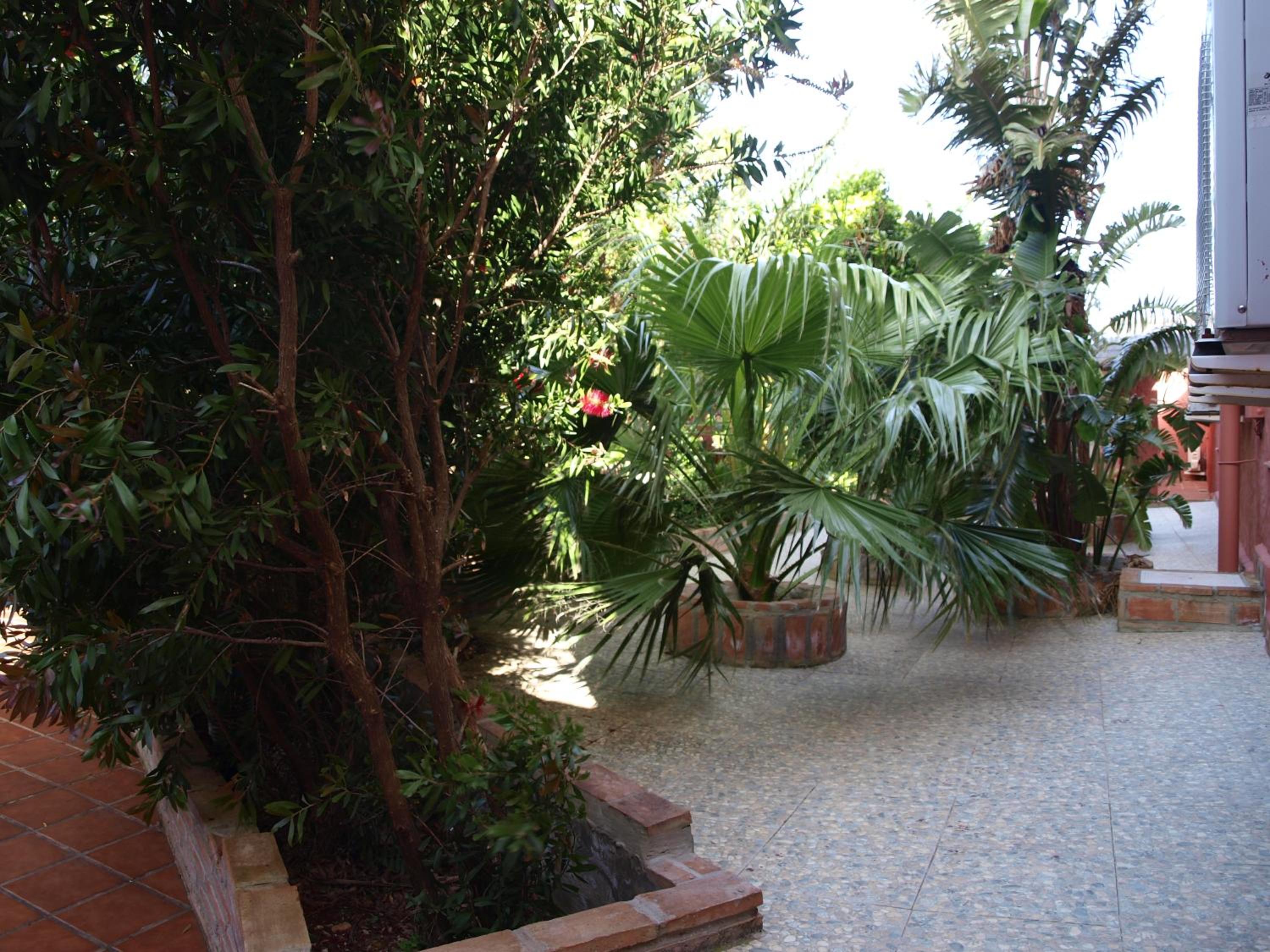 Single Room with Terrace photo 3