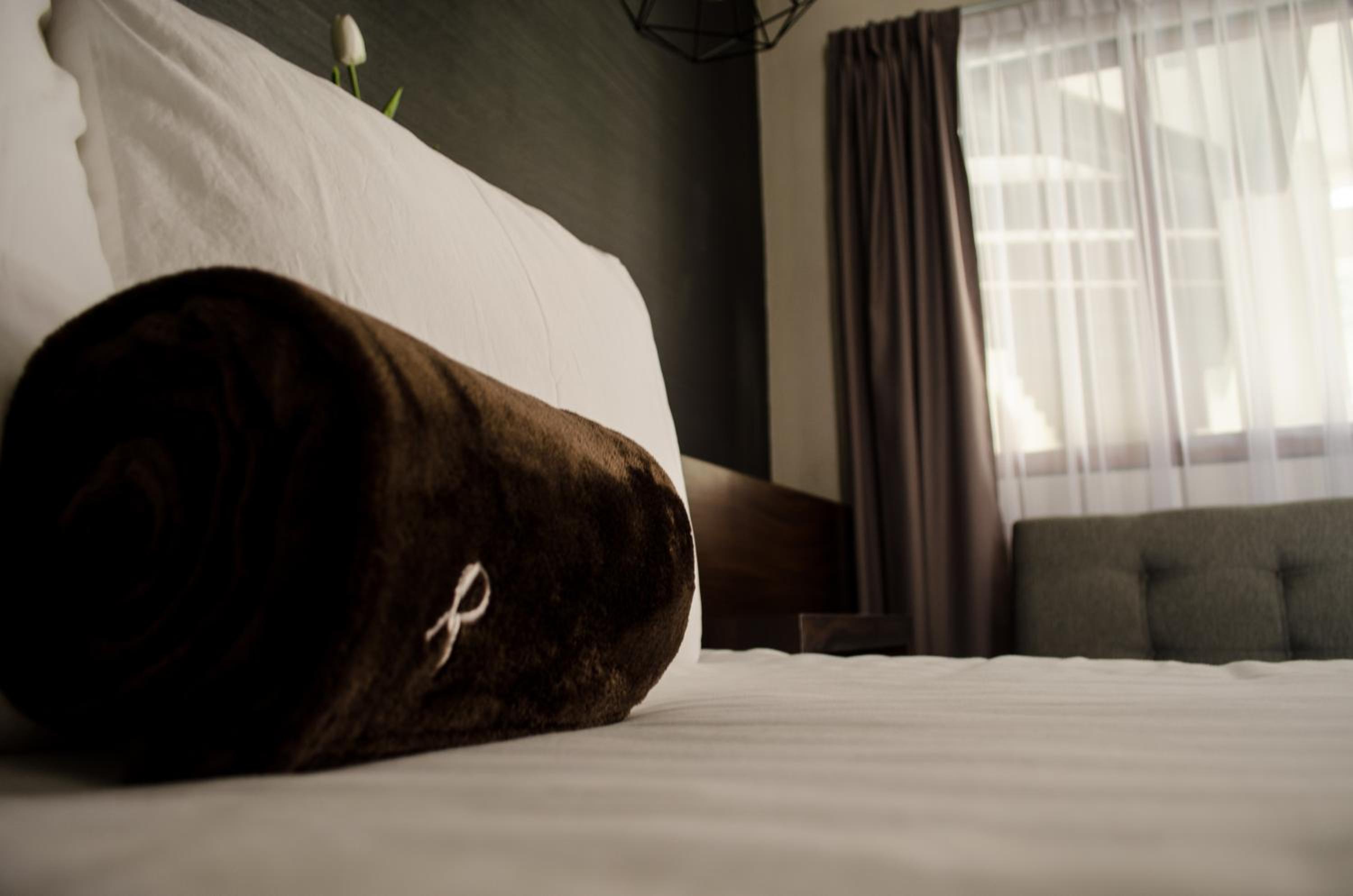 Junior Suite with Terrace photo 1