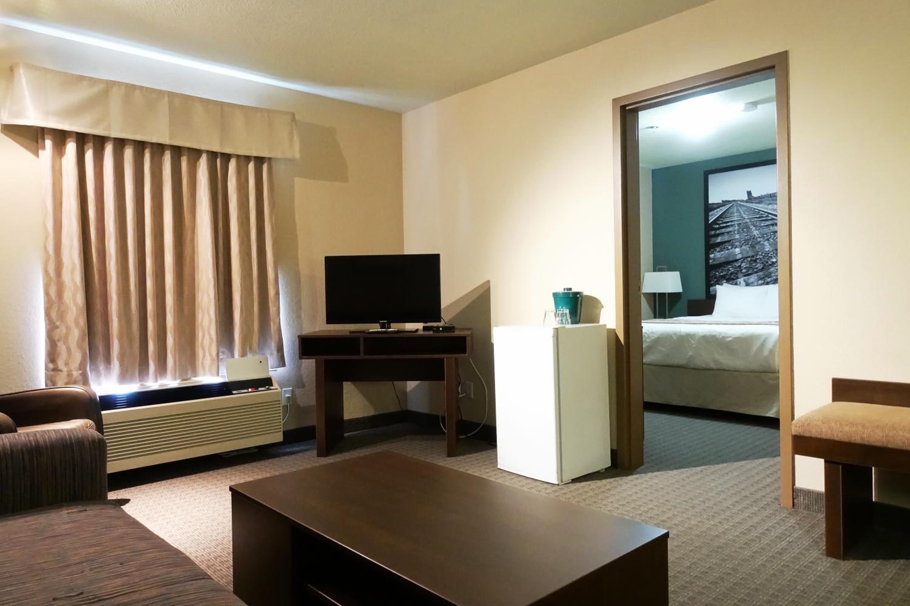 One-Bedroom King Suite - Non-Smoking photo 1
