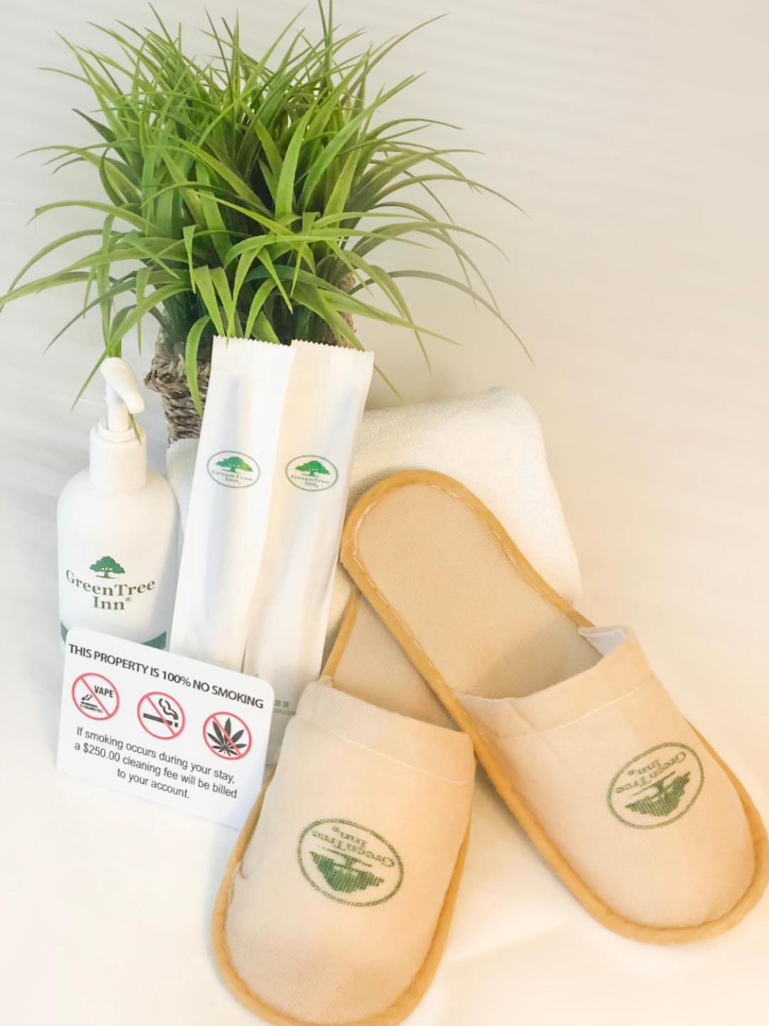 Hotel slippers, toiletries, and plant