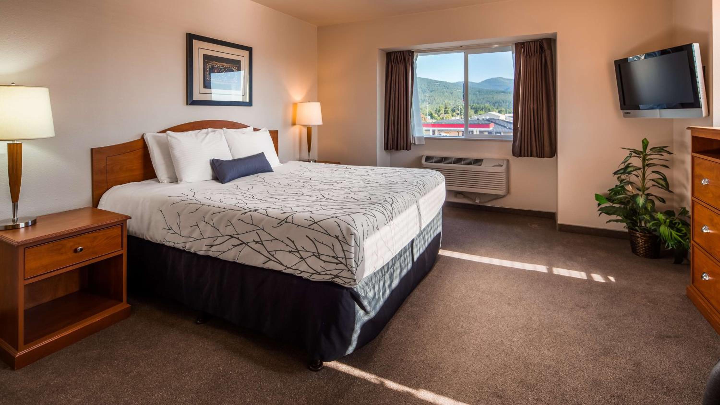 King Room -Pet Friendly photo 2