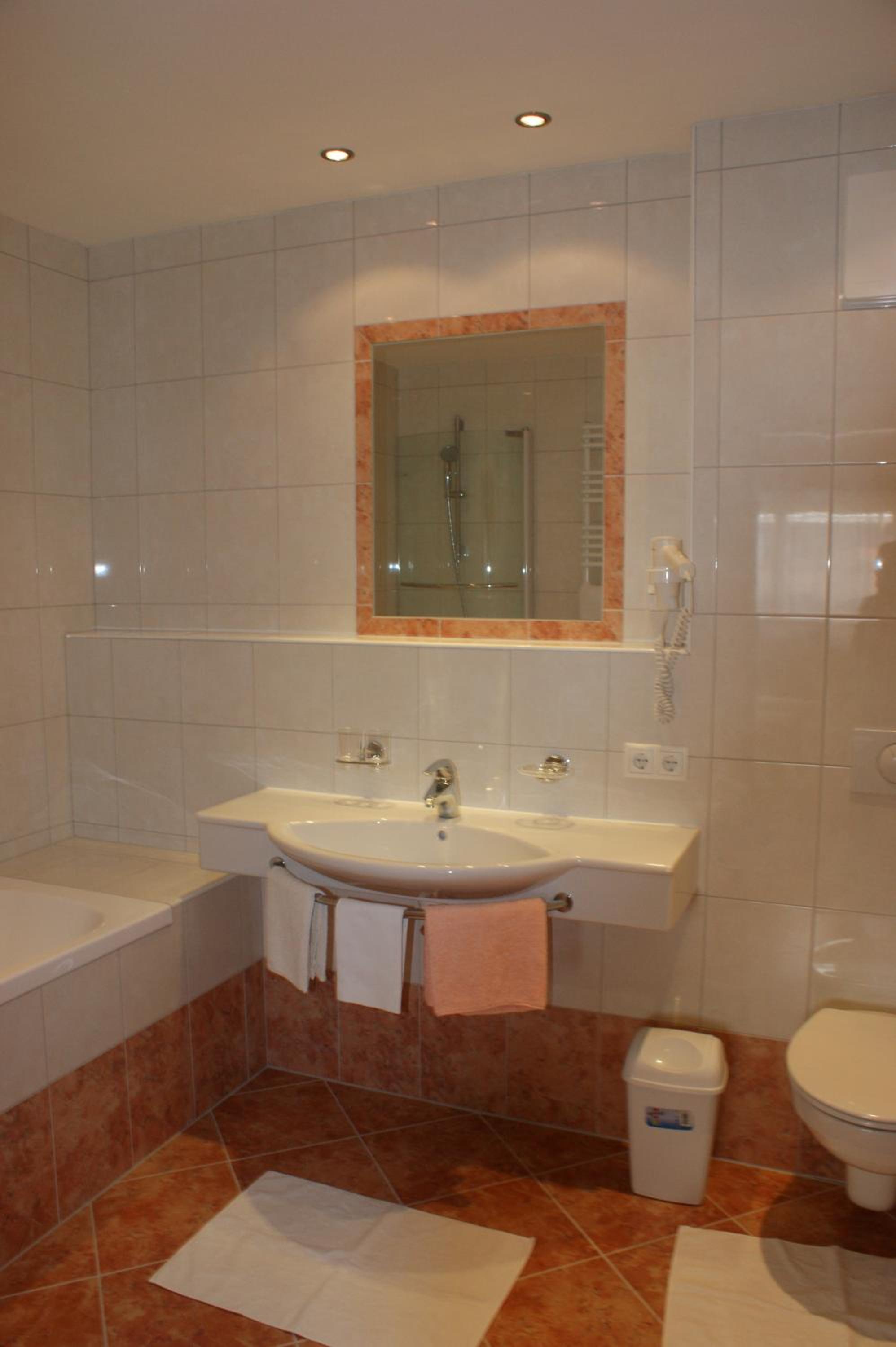 Standard One-Bedroom Apartment photo 2
