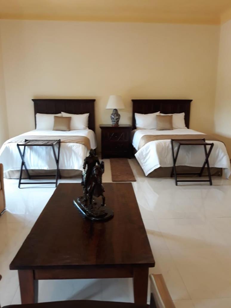 Suite con Terraza