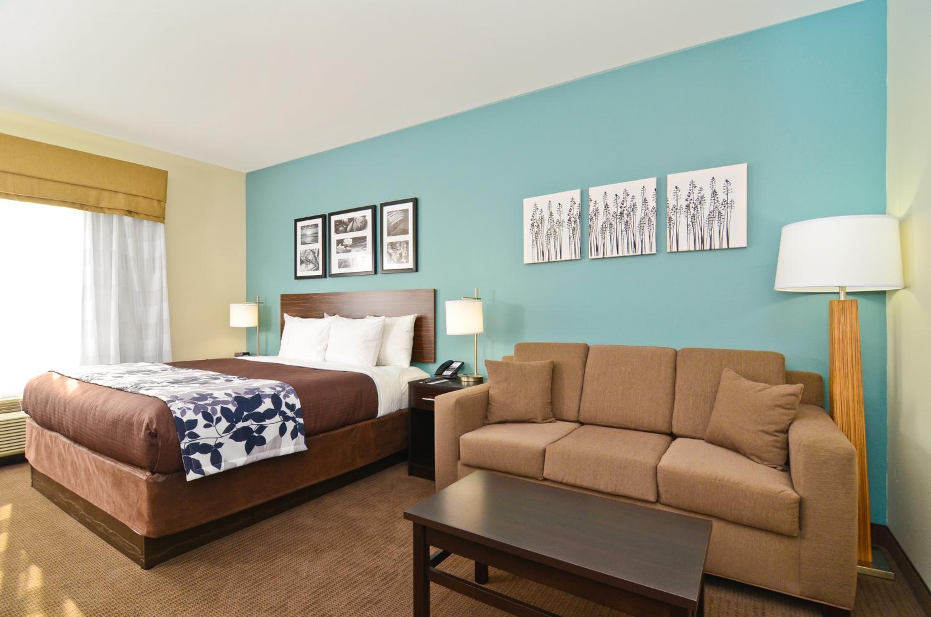 King Suite with Sofa Bed - Non-Smoking - Photo 1