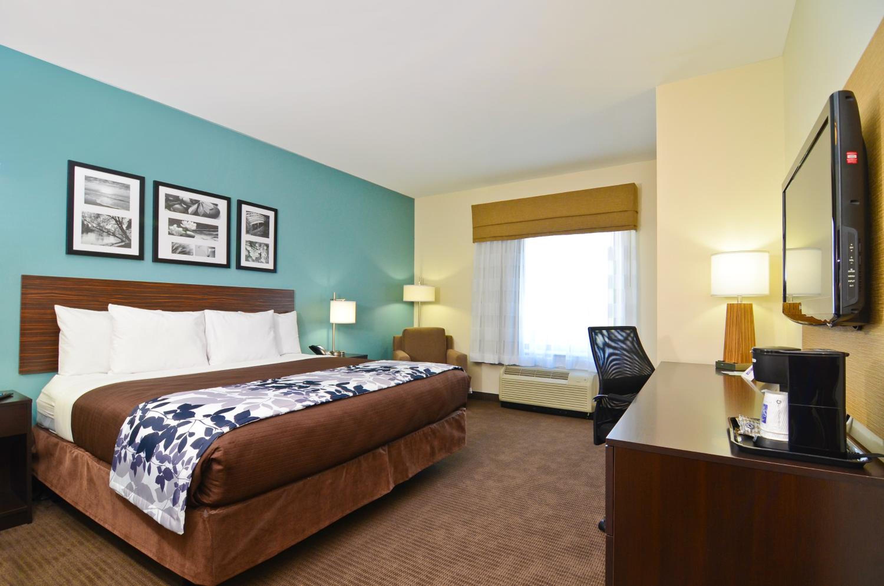 King Suite with Sofa Bed - Non-Smoking - Photo 4