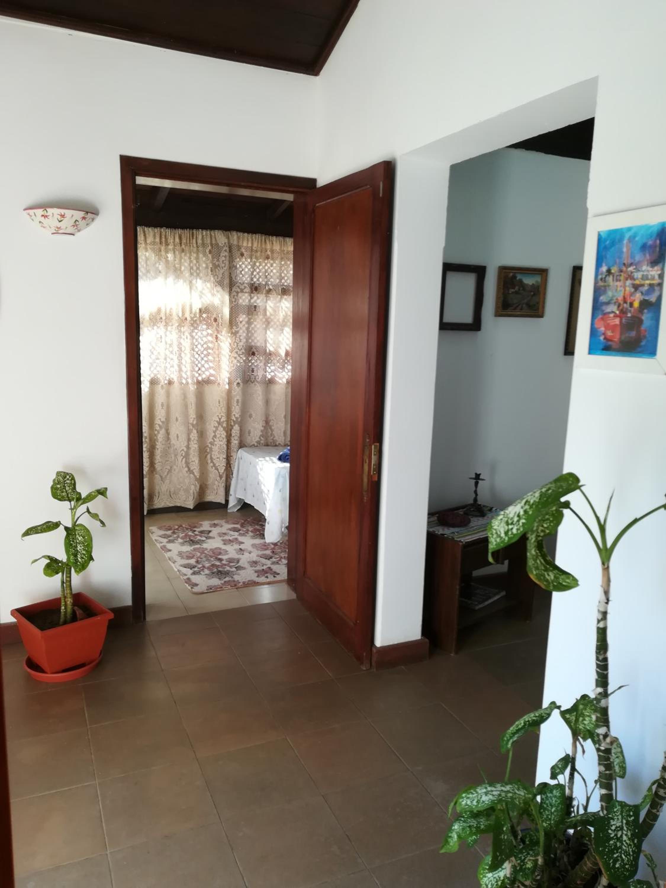 Habitación Individual Estándar con Vista a la Montaña