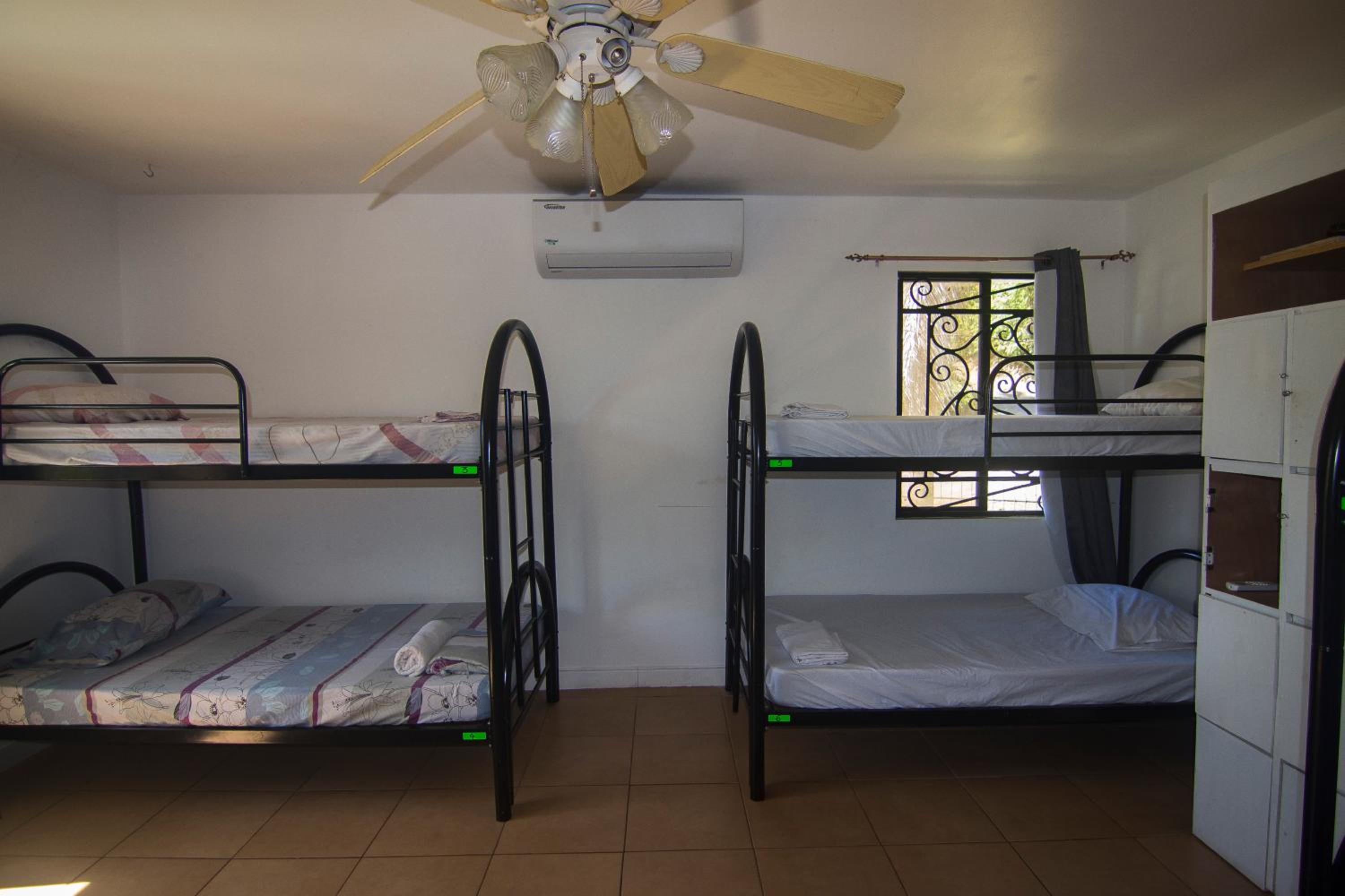4-Bed Mixed Dormitory Room photo 2