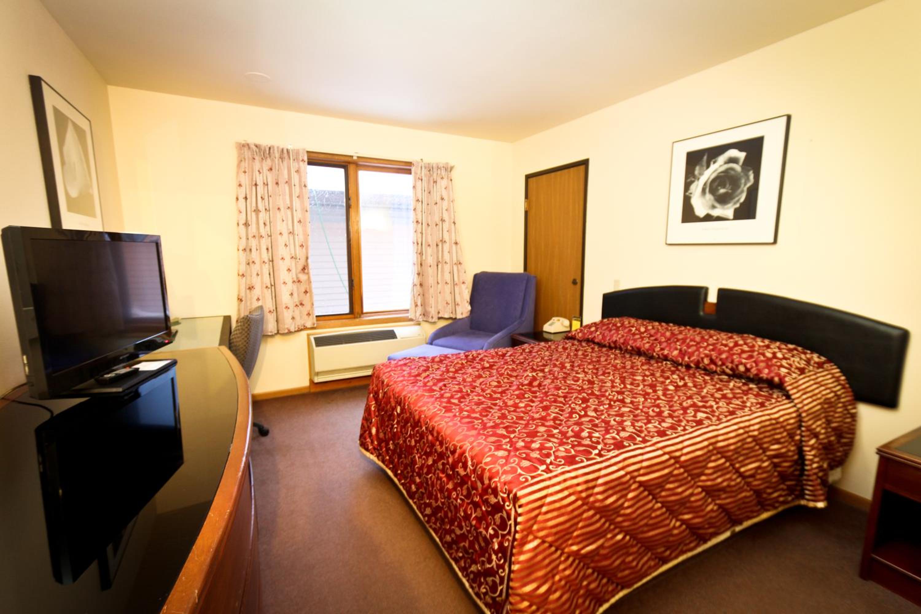King Room photo 1