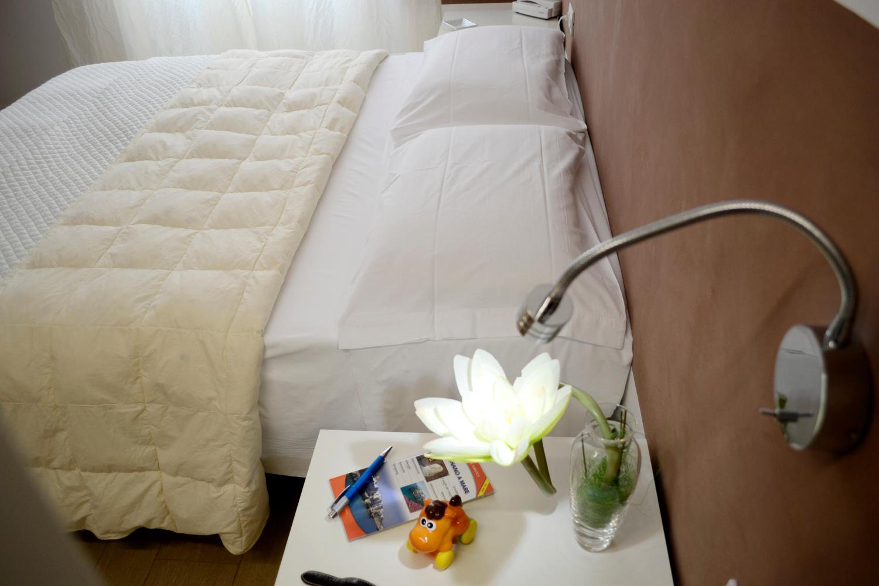 Business Single Room photo 1