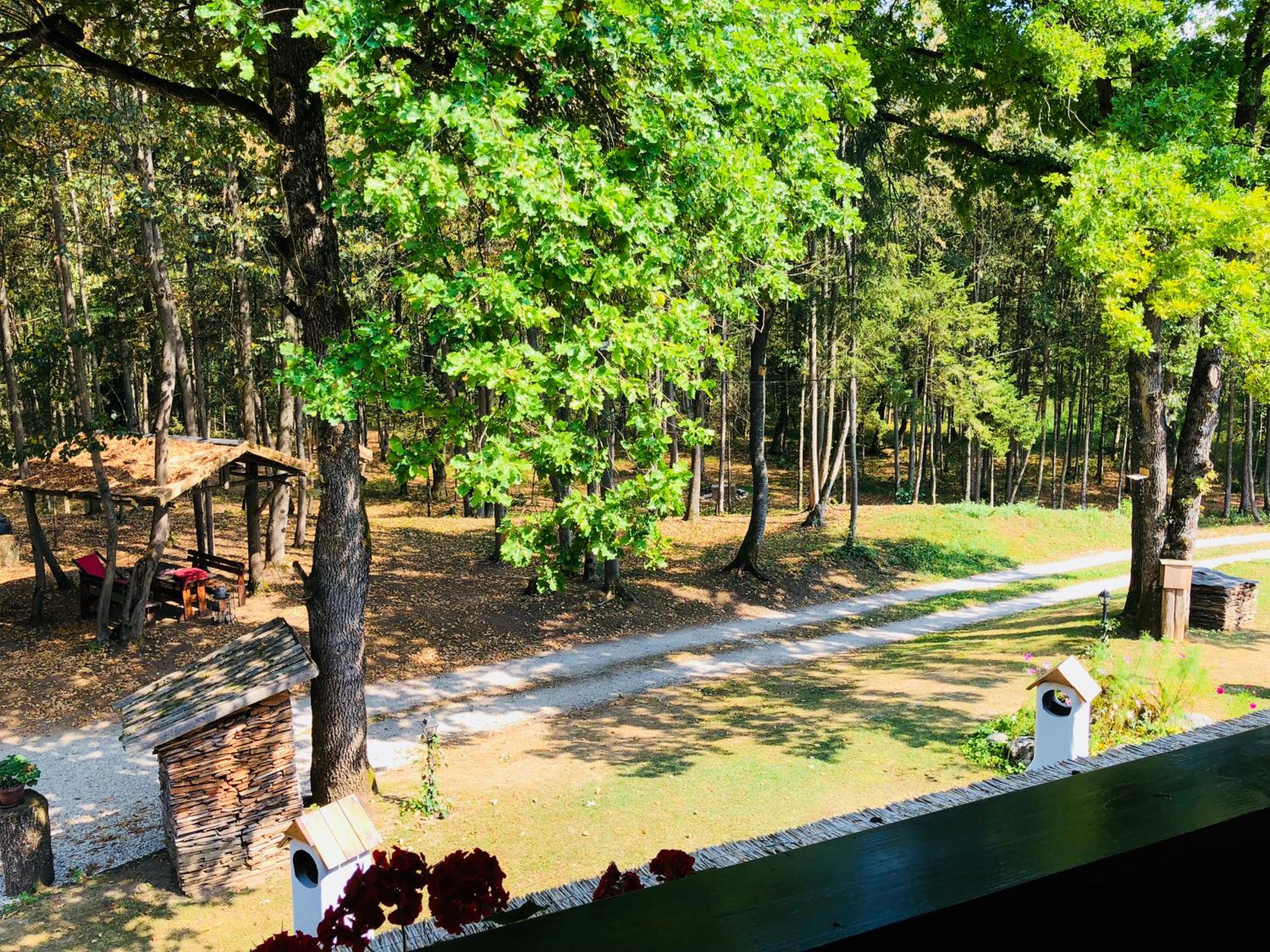 Double Room with Balcony and Forest View