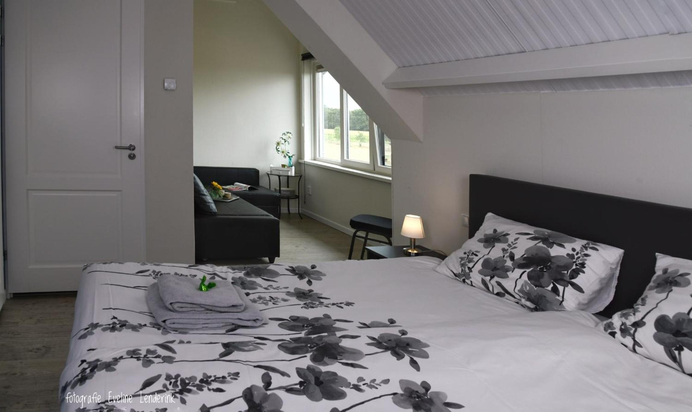King Room with Garden View photo 1