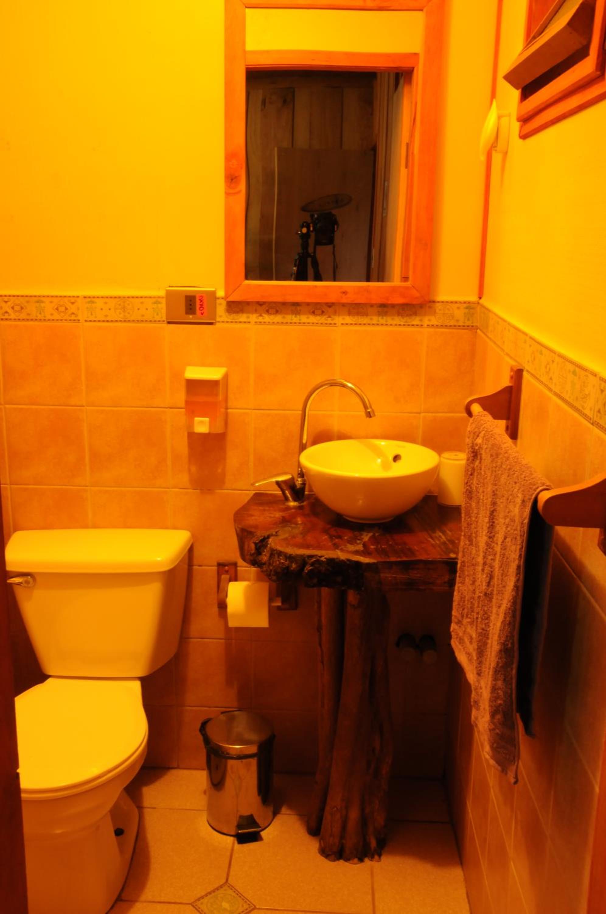 Standard Suite photo 3