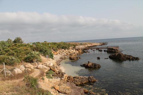 Apartment with Garden View