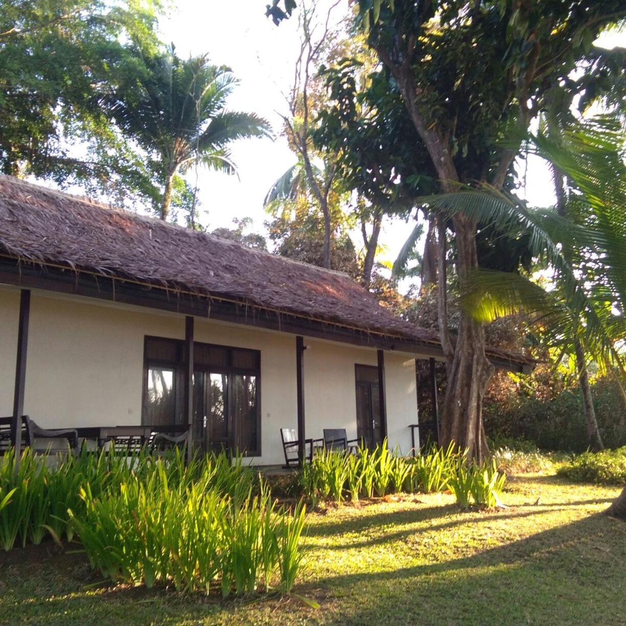 Three-Bedroom Villa photo 3