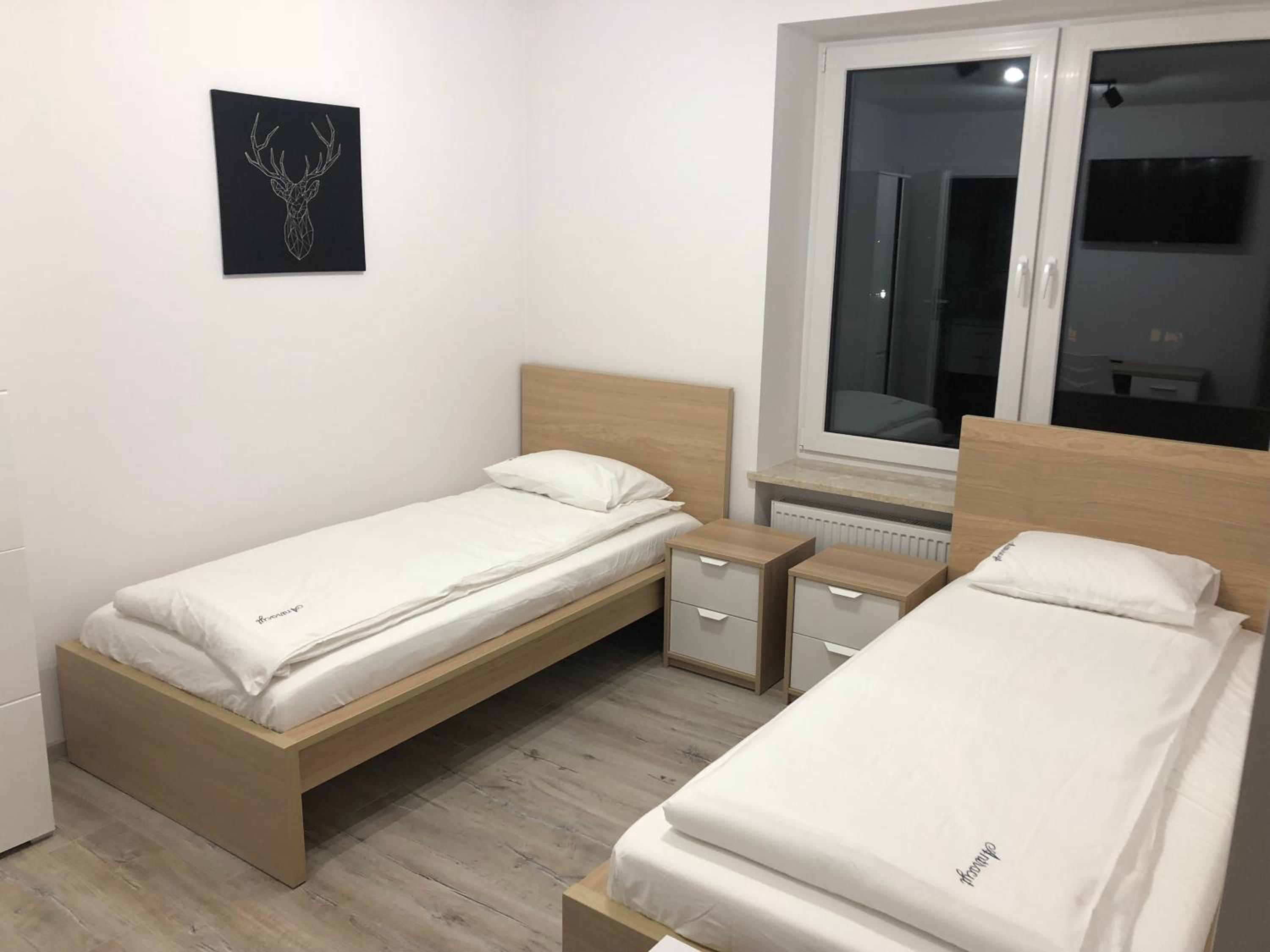 Large Twin Room - Photo 3