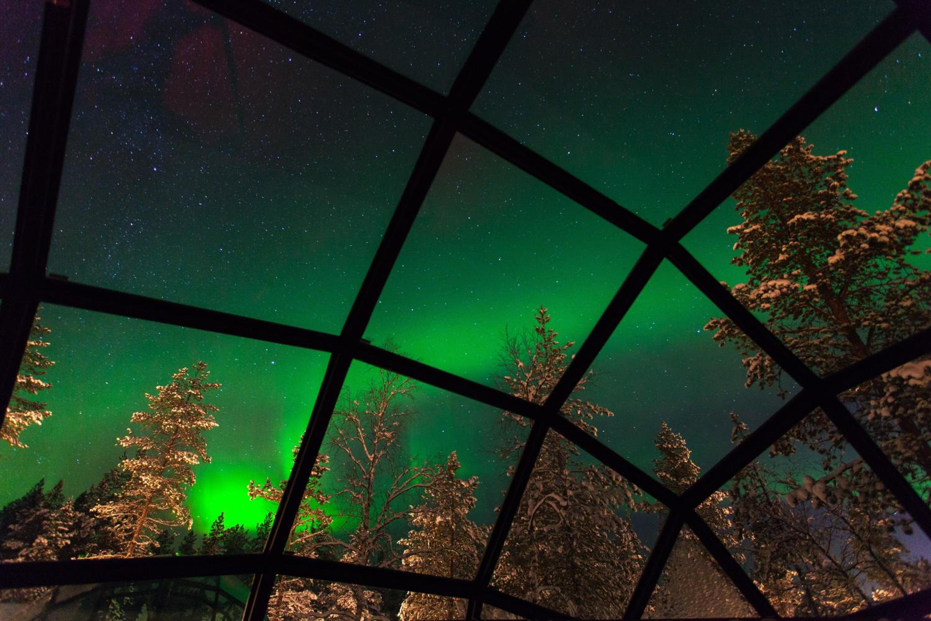 East Glass Igloo (2 Adults) photo 3