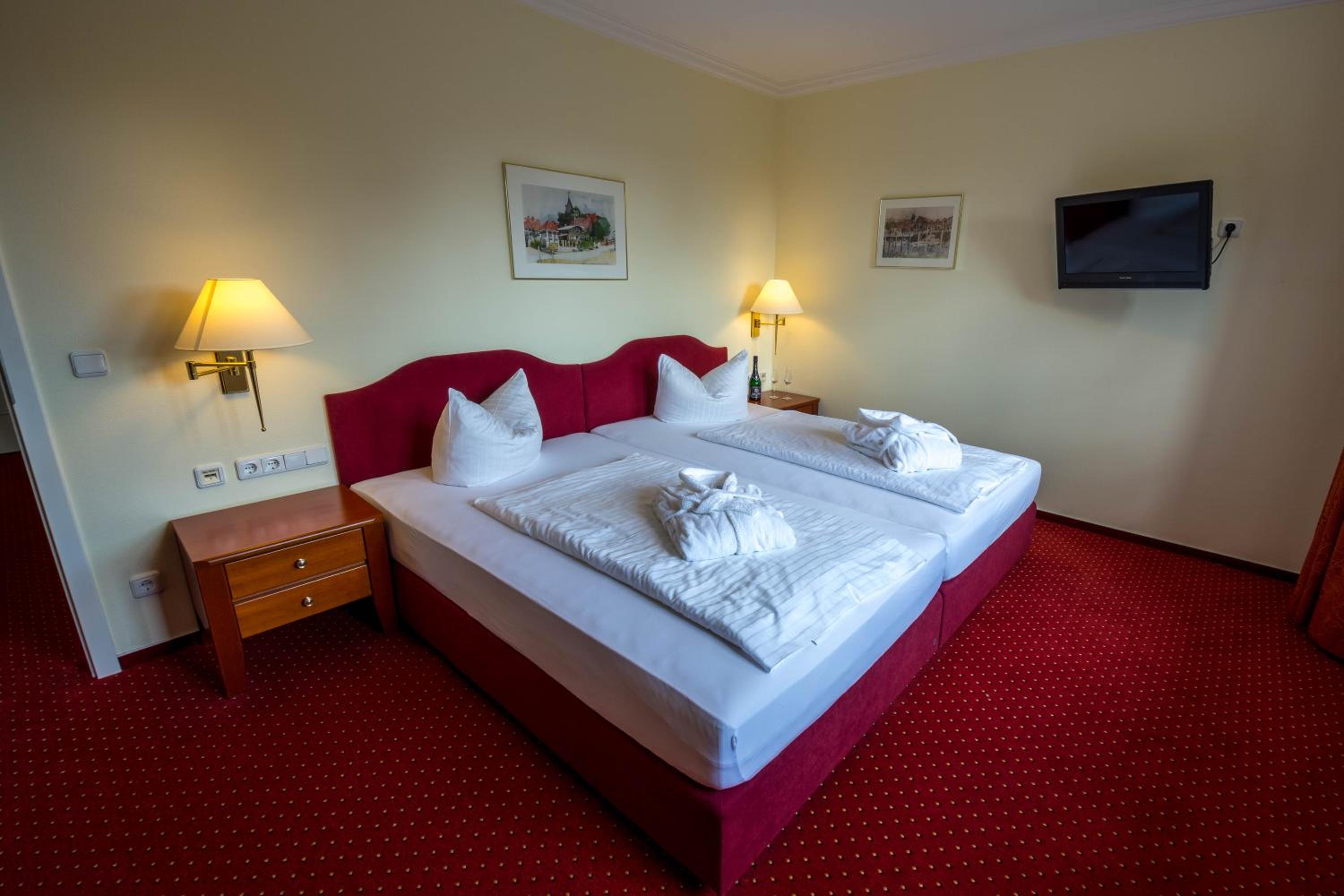 Double Room with Mountain View photo 2