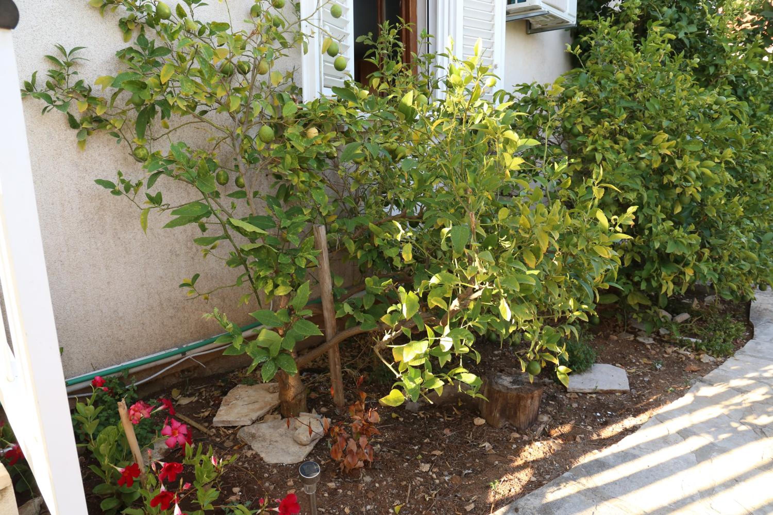 Apartment - Photo 18