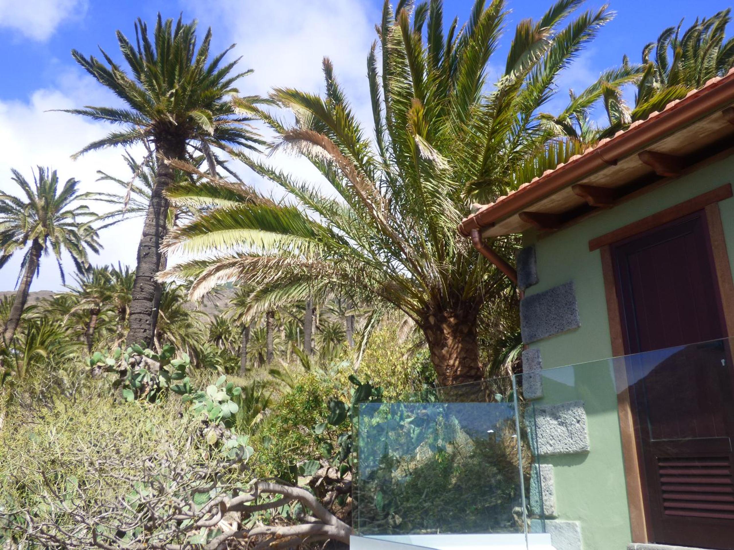 Chalet photo 3