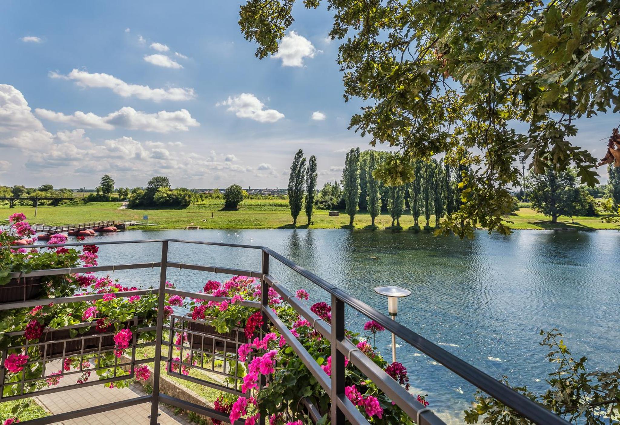 Apartment with Lake View