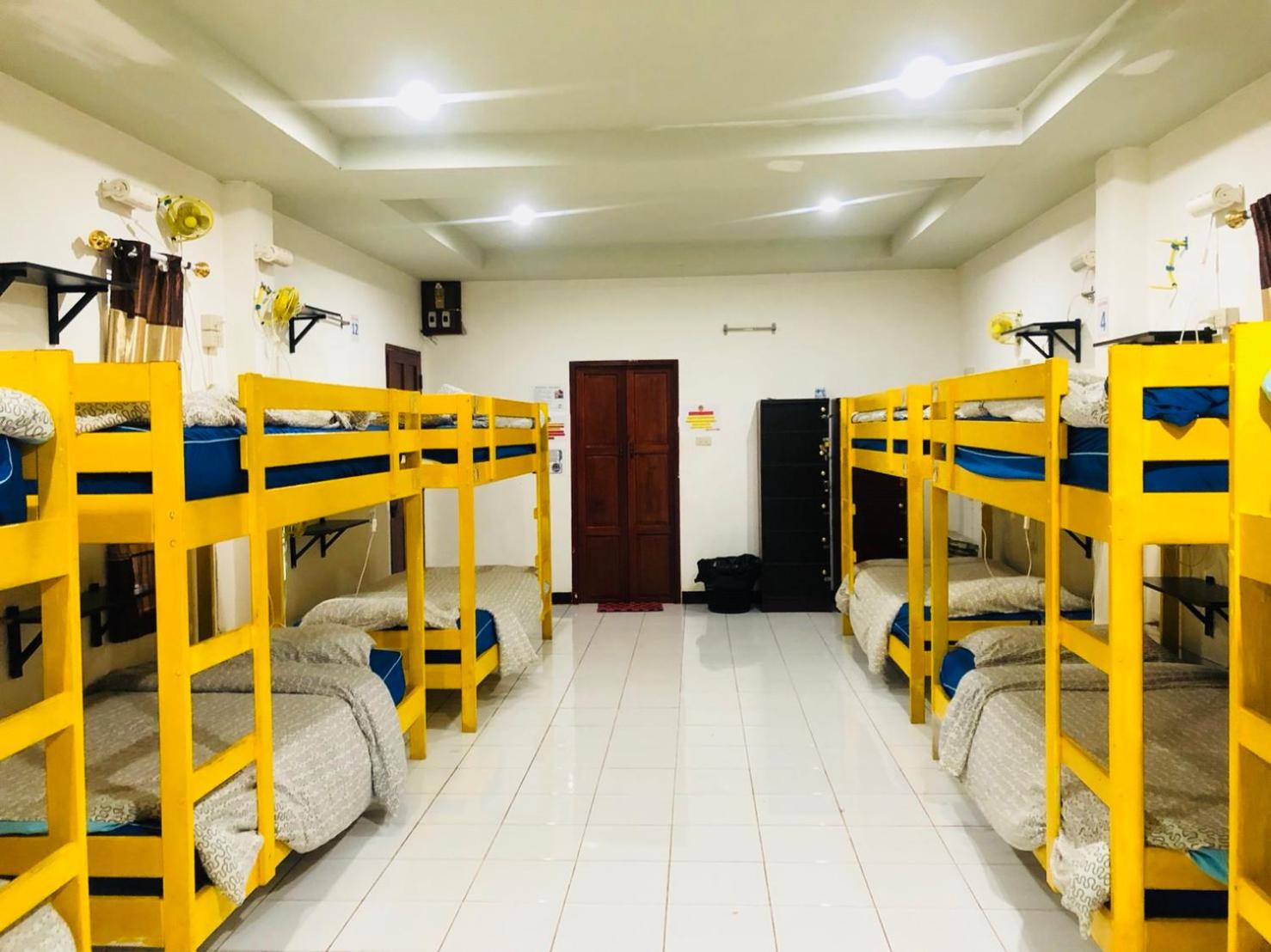 Bunk Bed in Mixed Dormitory Room photo 2