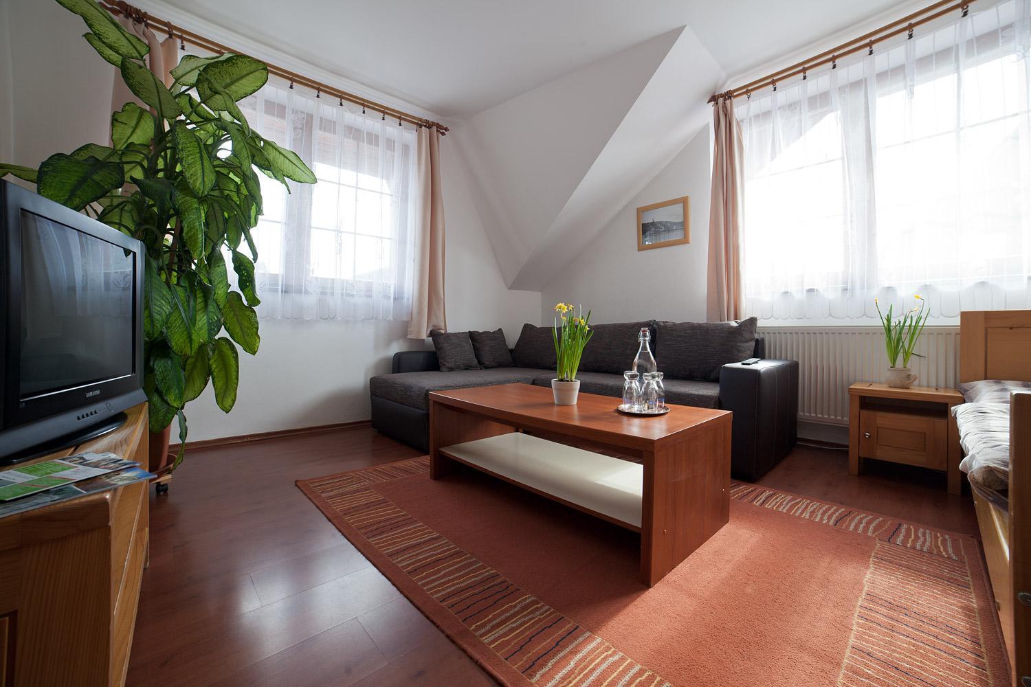 One-Bedroom Apartment photo 3
