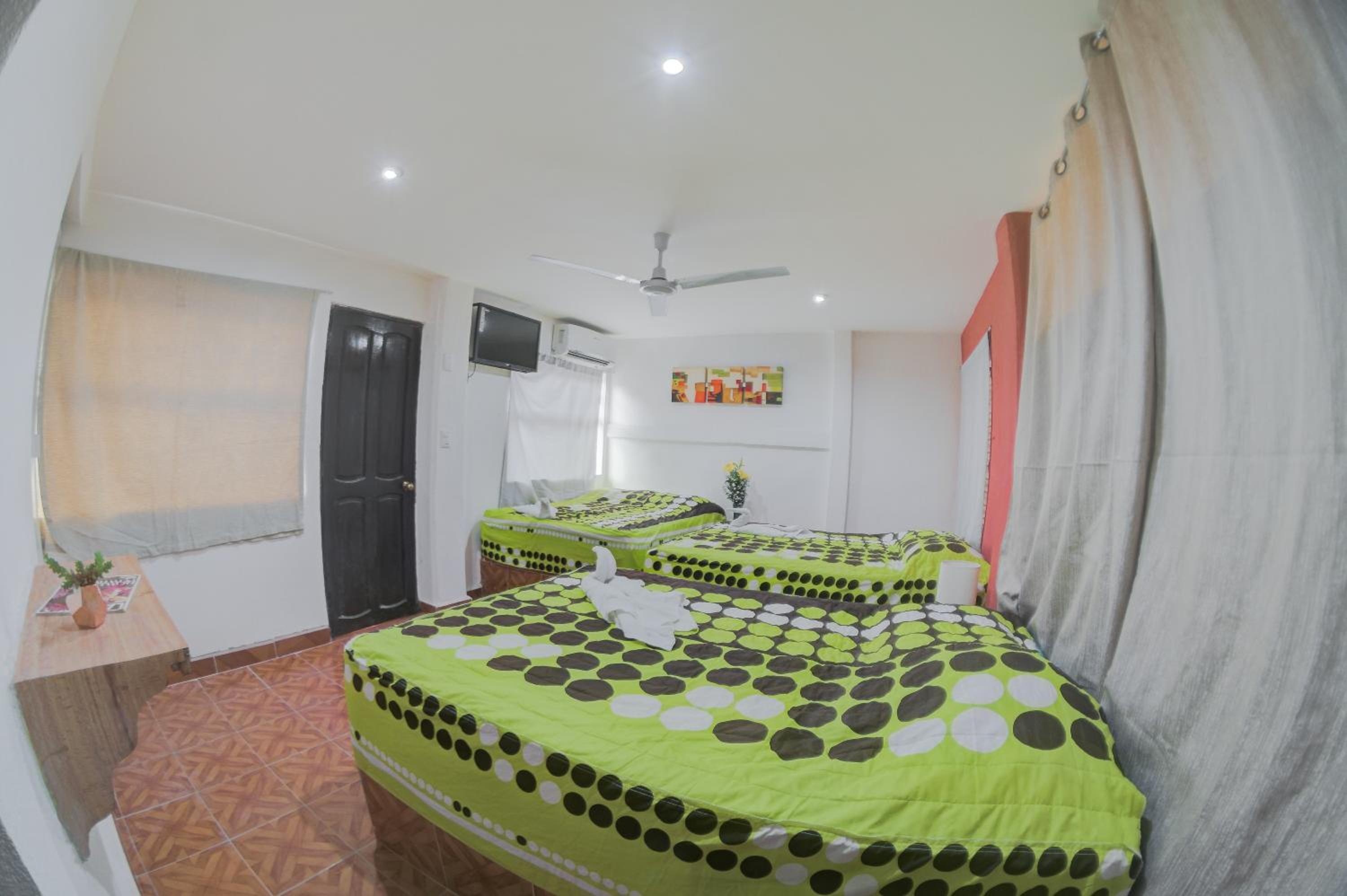 Triple Room - Photo 3