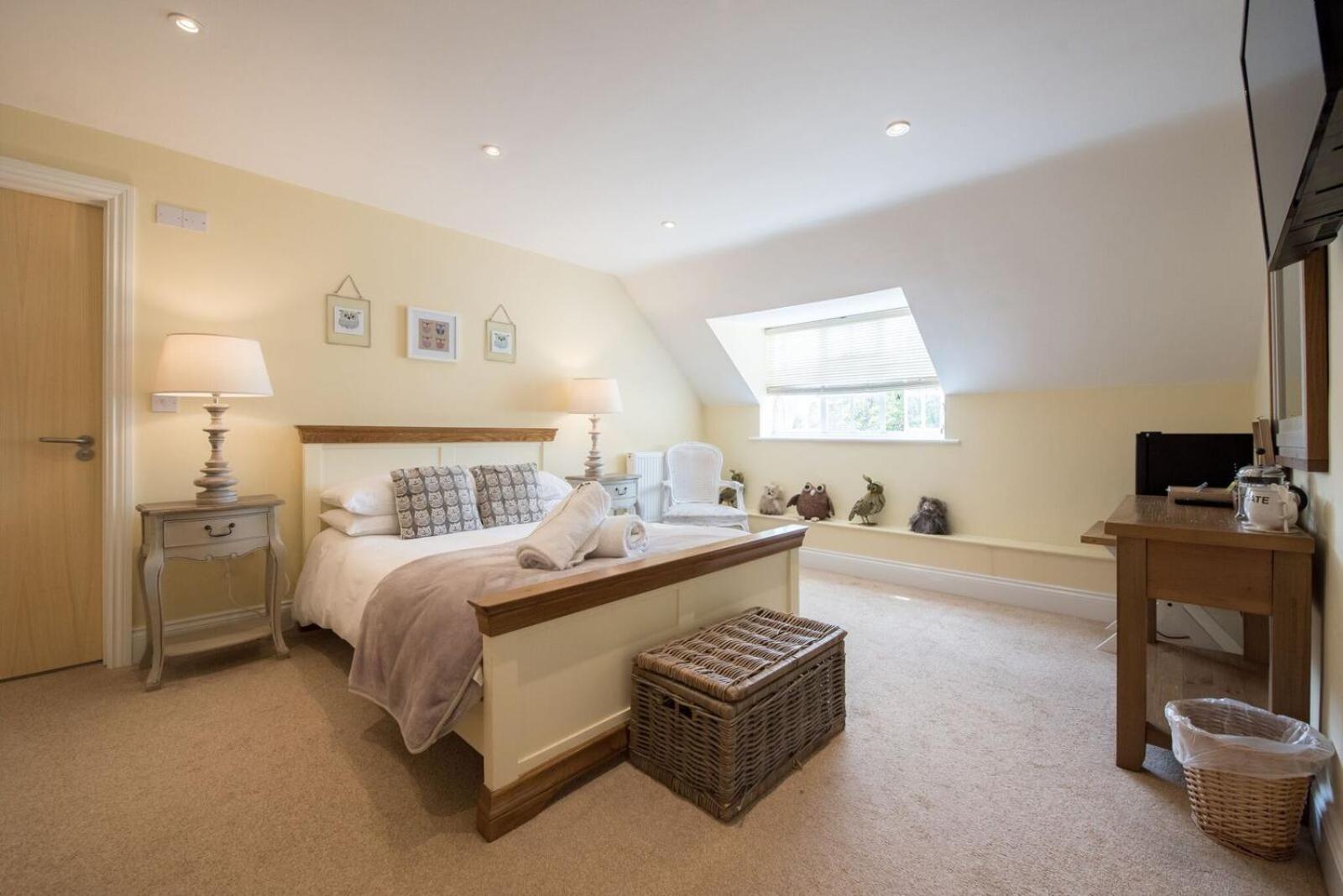 King Room photo 1