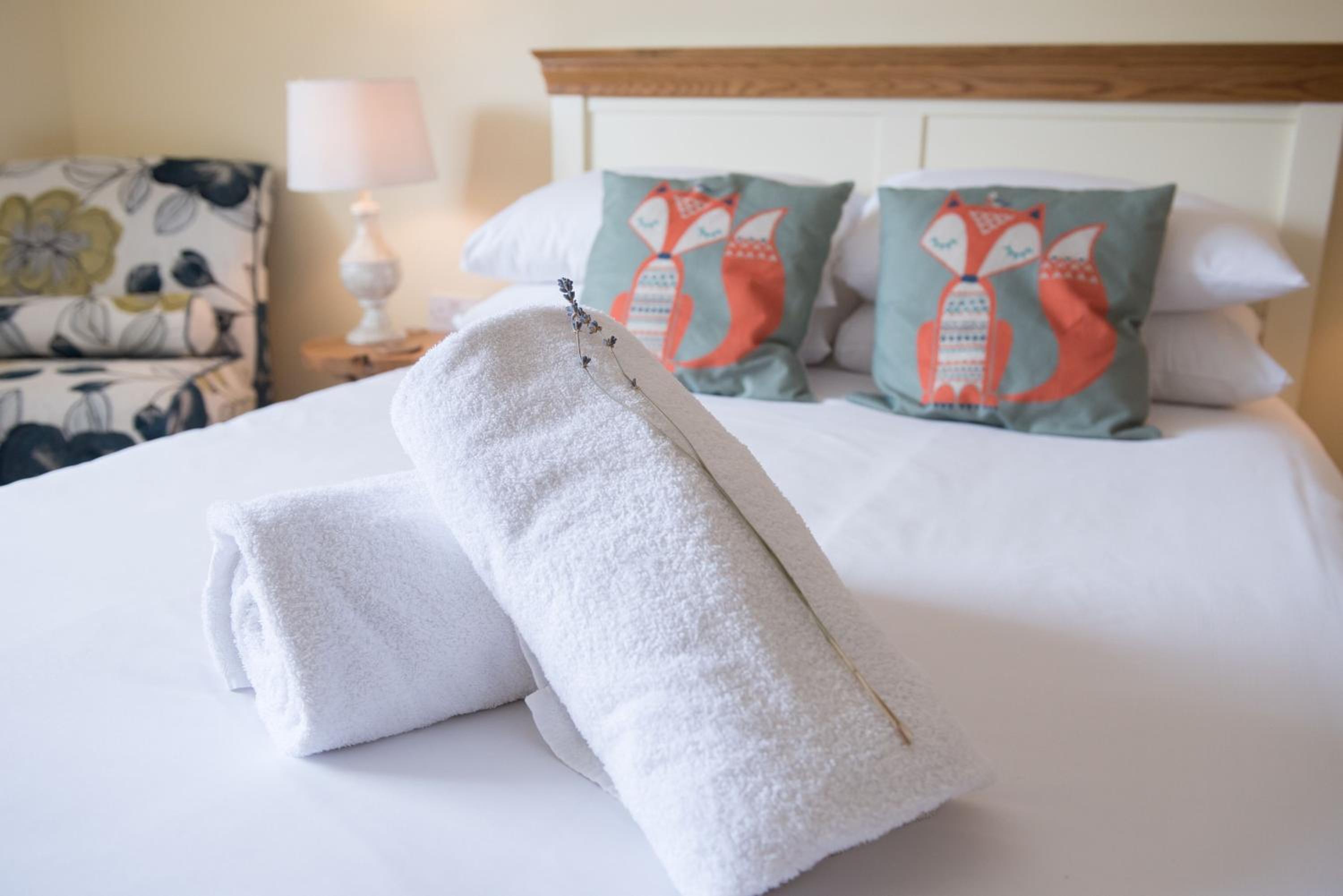 Double Room - Fox photo 2