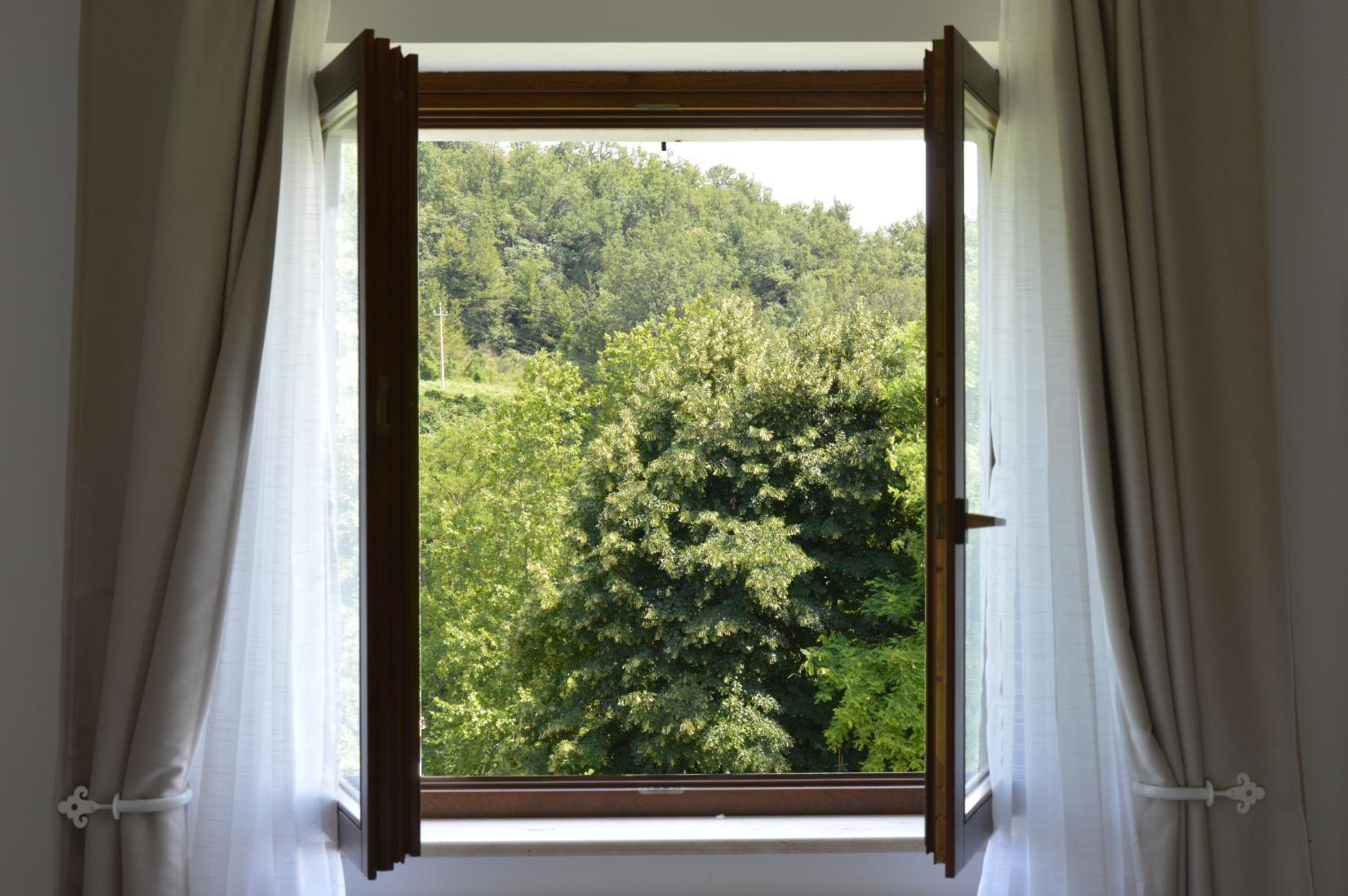 Suite with Terrace photo 3