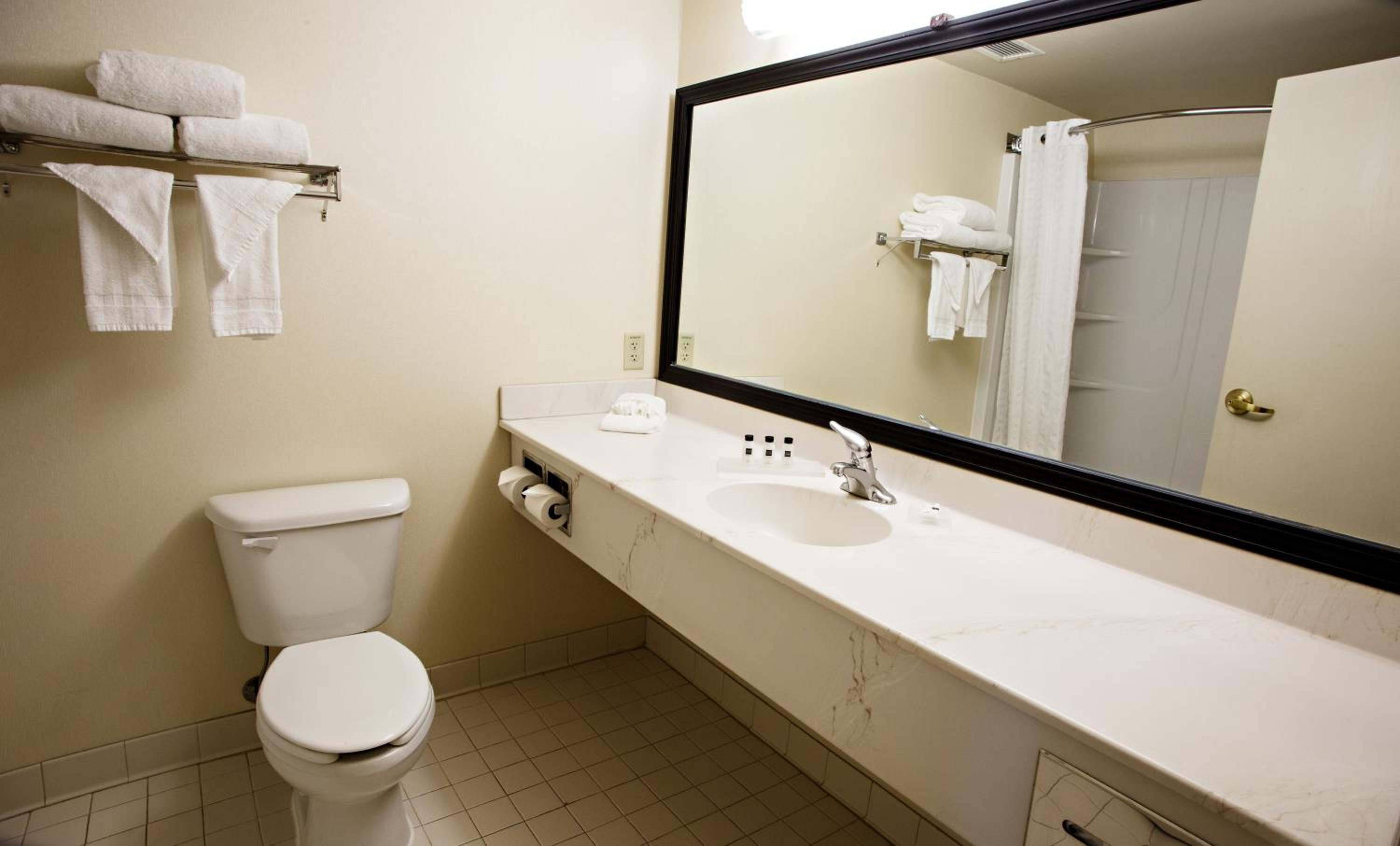 King Suite photo 3