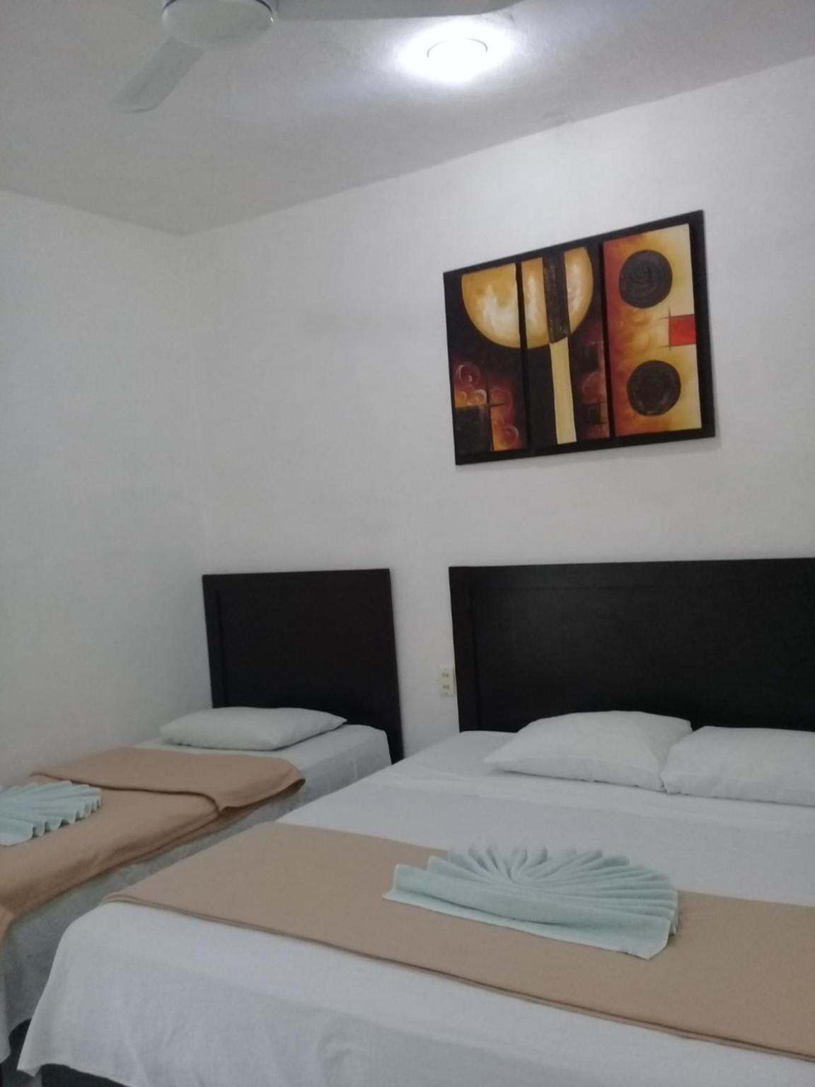 Twin Room photo 1