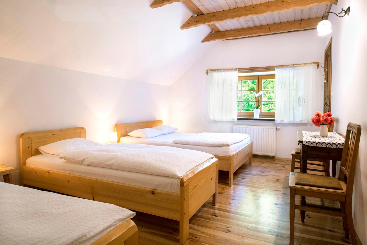 Triple Room photo 1