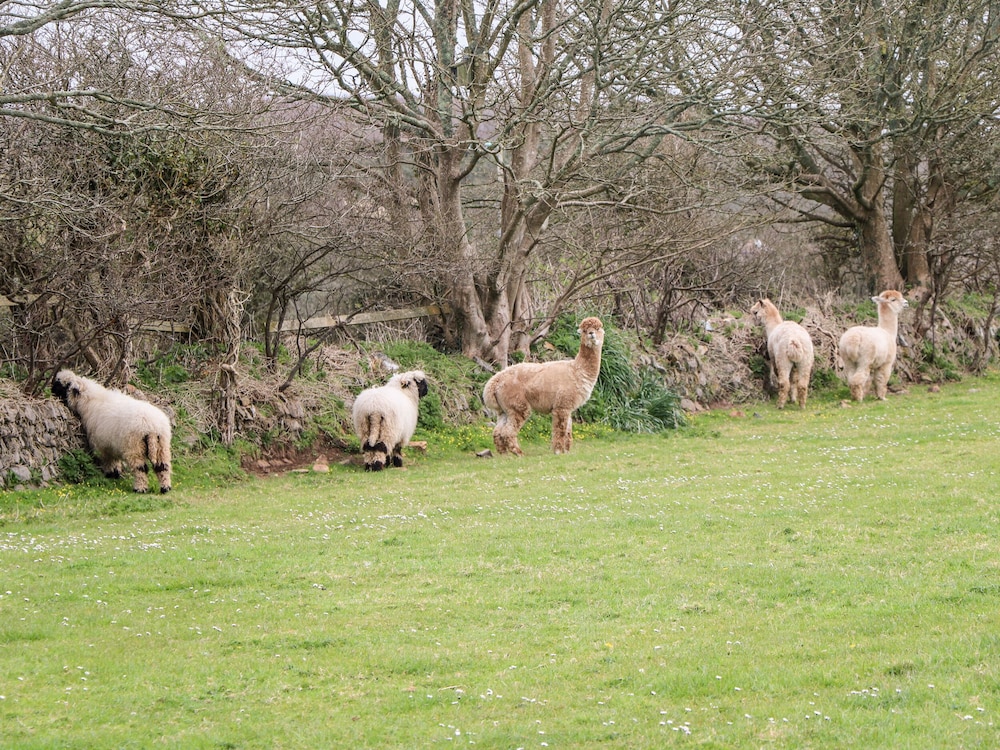 Cottage photo 1
