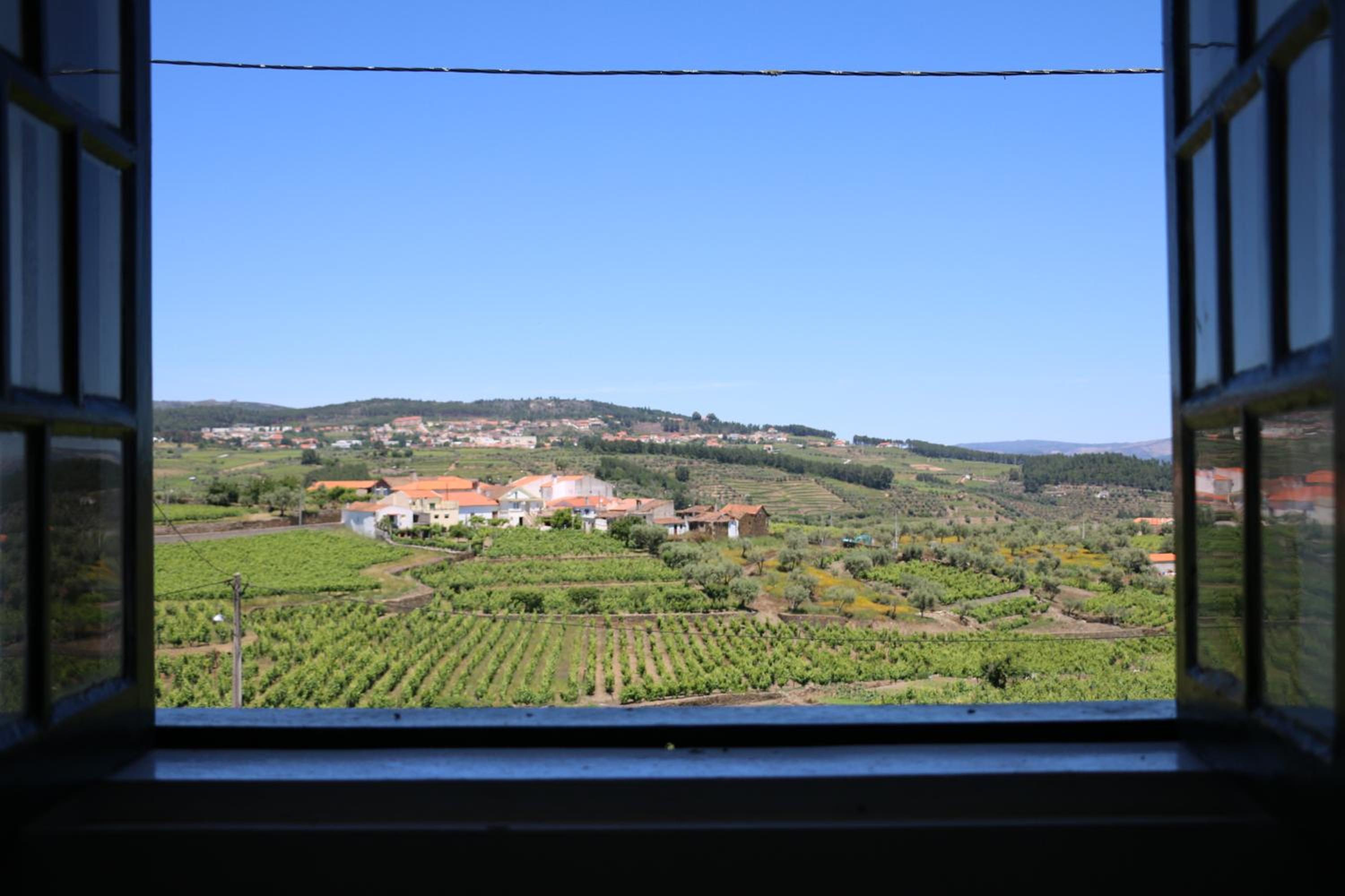 Four-Bedroom House - Photo 19