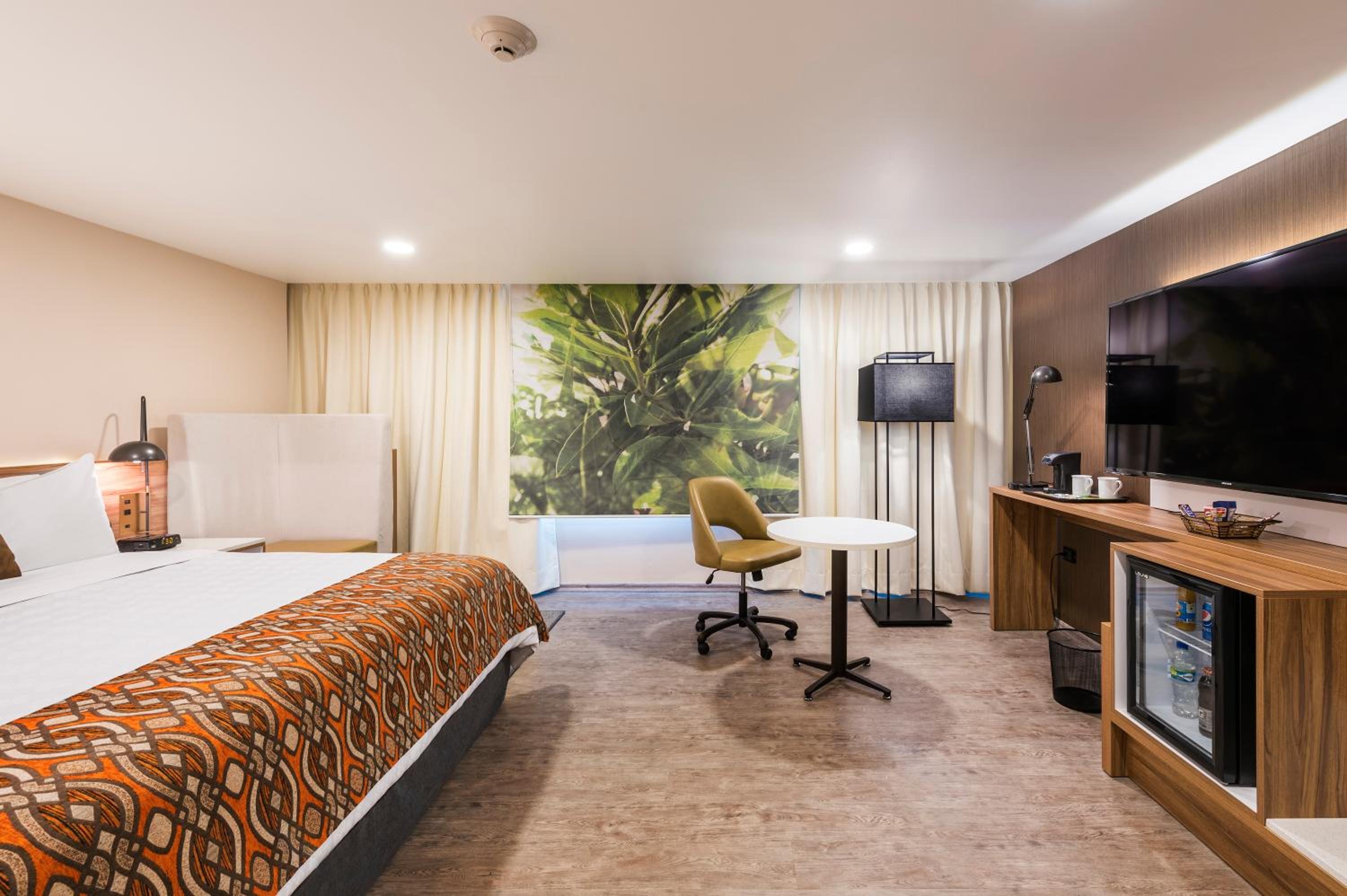 Premium Junior Suite with One King Bed - Photo 6
