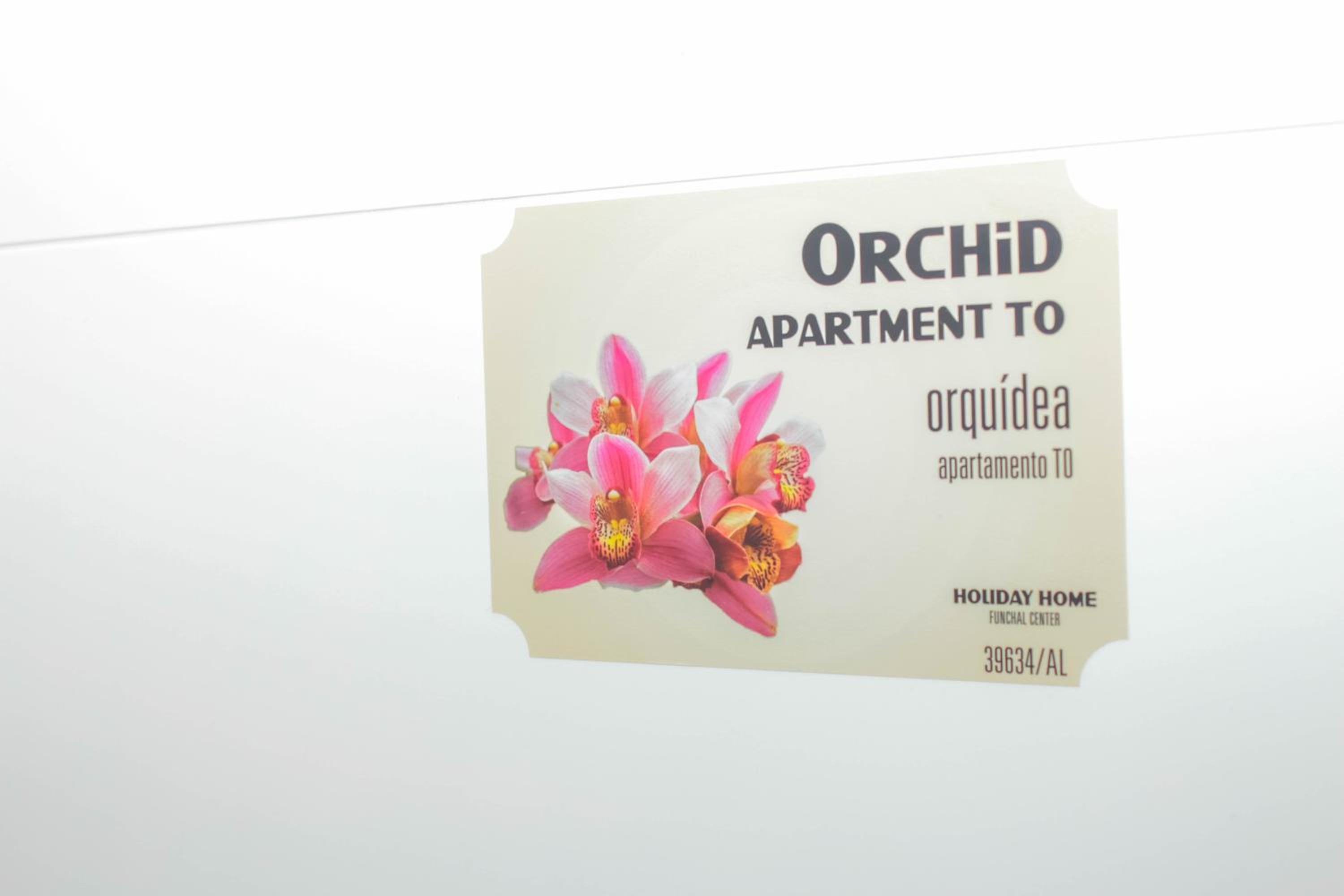 Studio Apartment - Photo 8