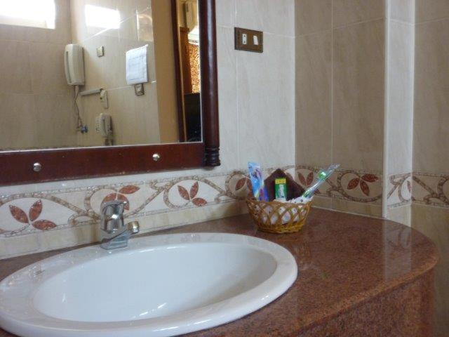 Deluxe Double or Twin Room with City View - Photo 6