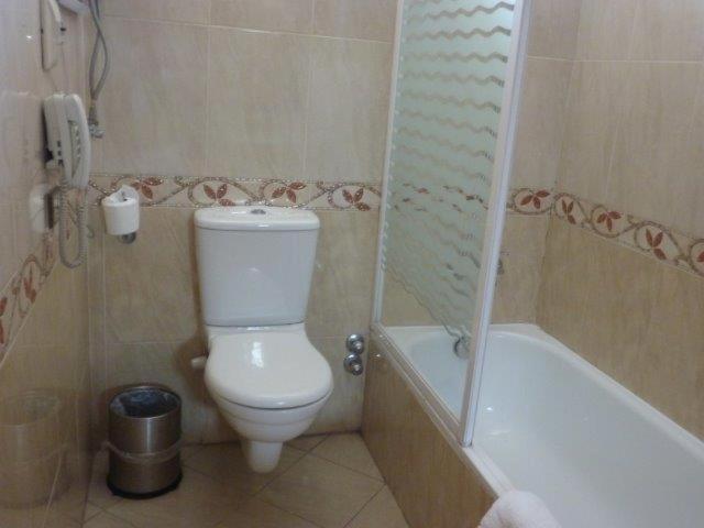 Deluxe Double or Twin Room with City View - Photo 7